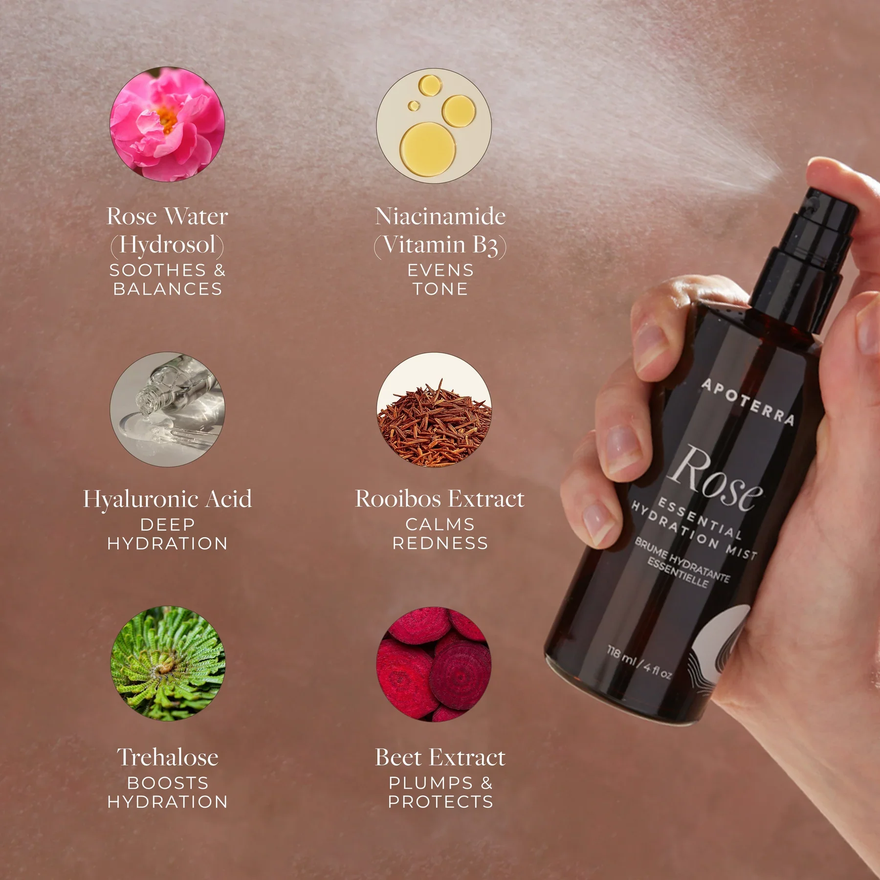 rose-hydration-mist-ingredients-benefits-graphic.webp