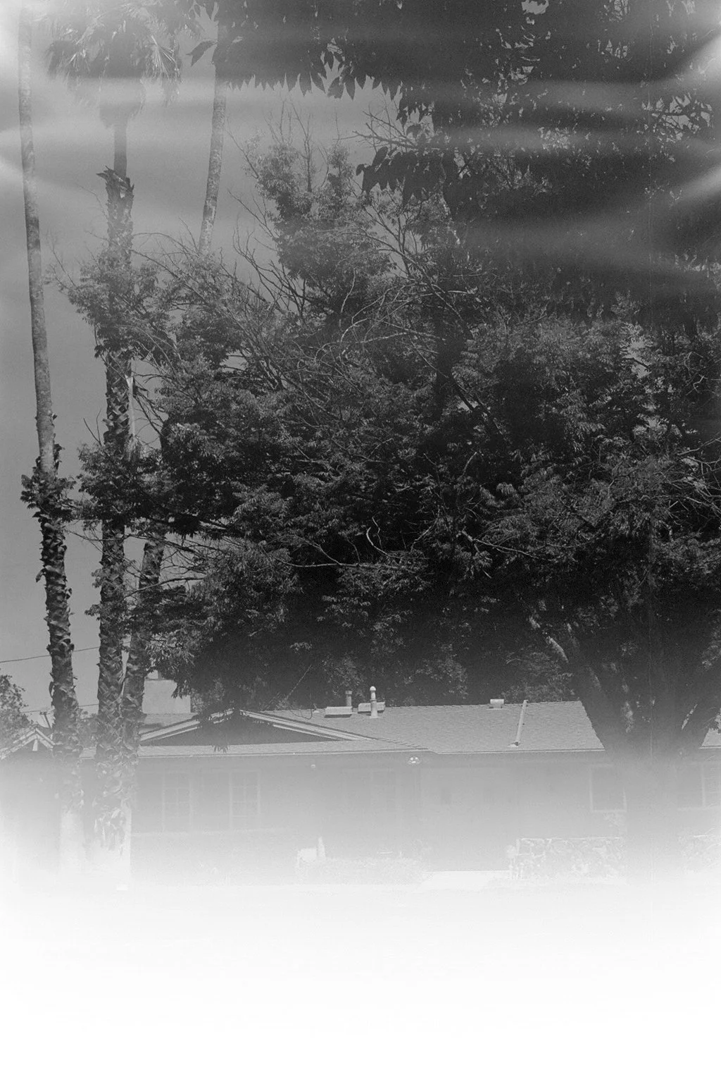 000025260002 copy.jpg