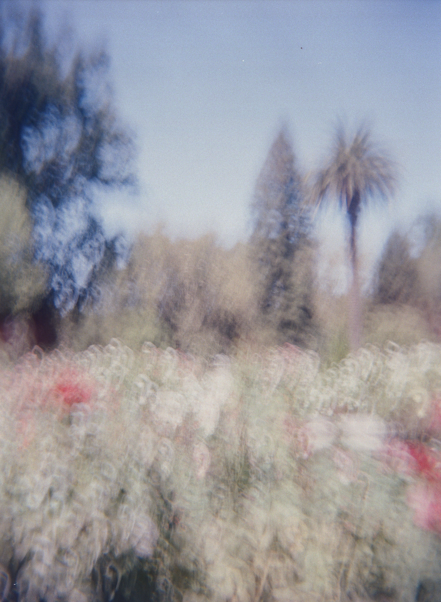 Screen Shot 2023-01-20 at 4.13.21 PM.png