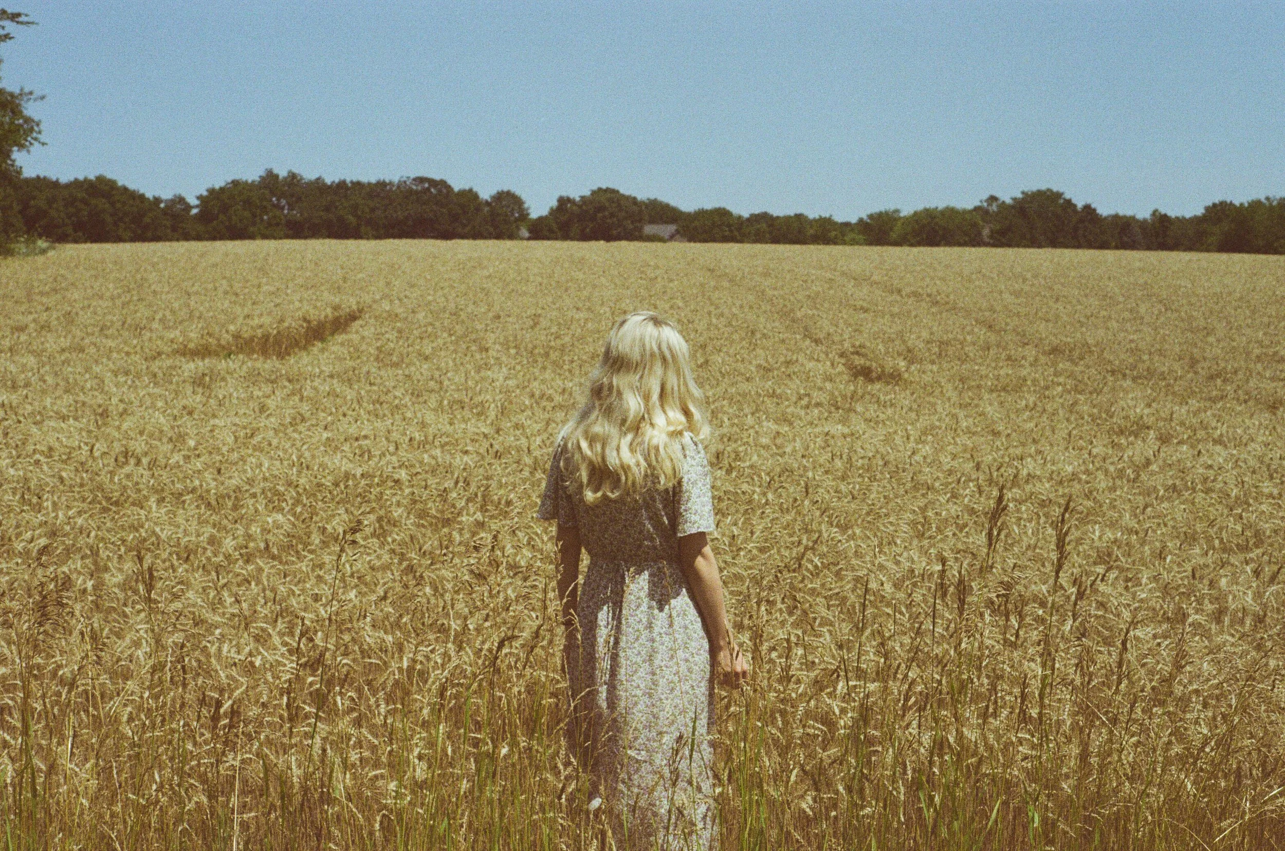 wisconsin field.jpeg
