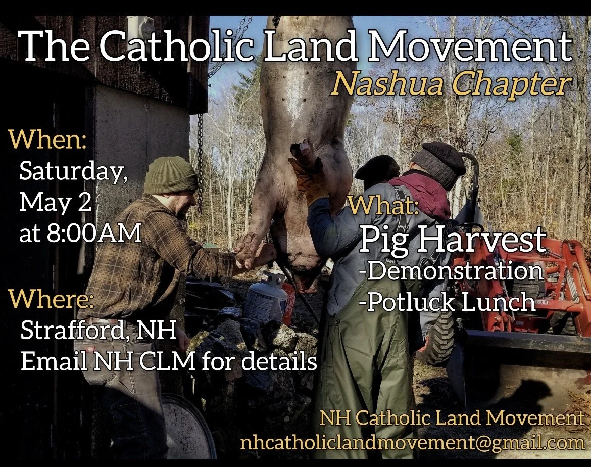 Nashua NH Chapter "Pig Harvest" 