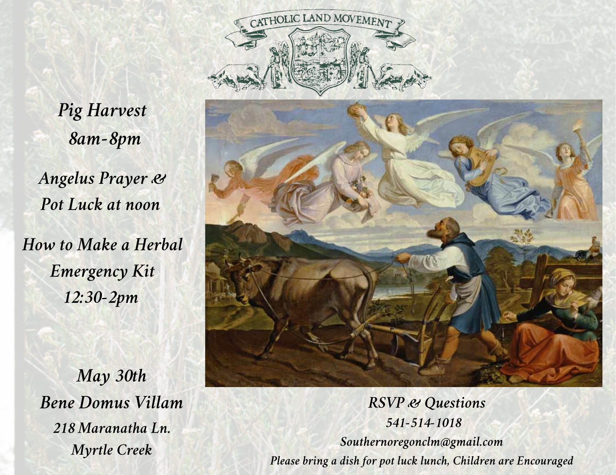 Oregon Pig Harvest &amp; Herbal Emergency kits
