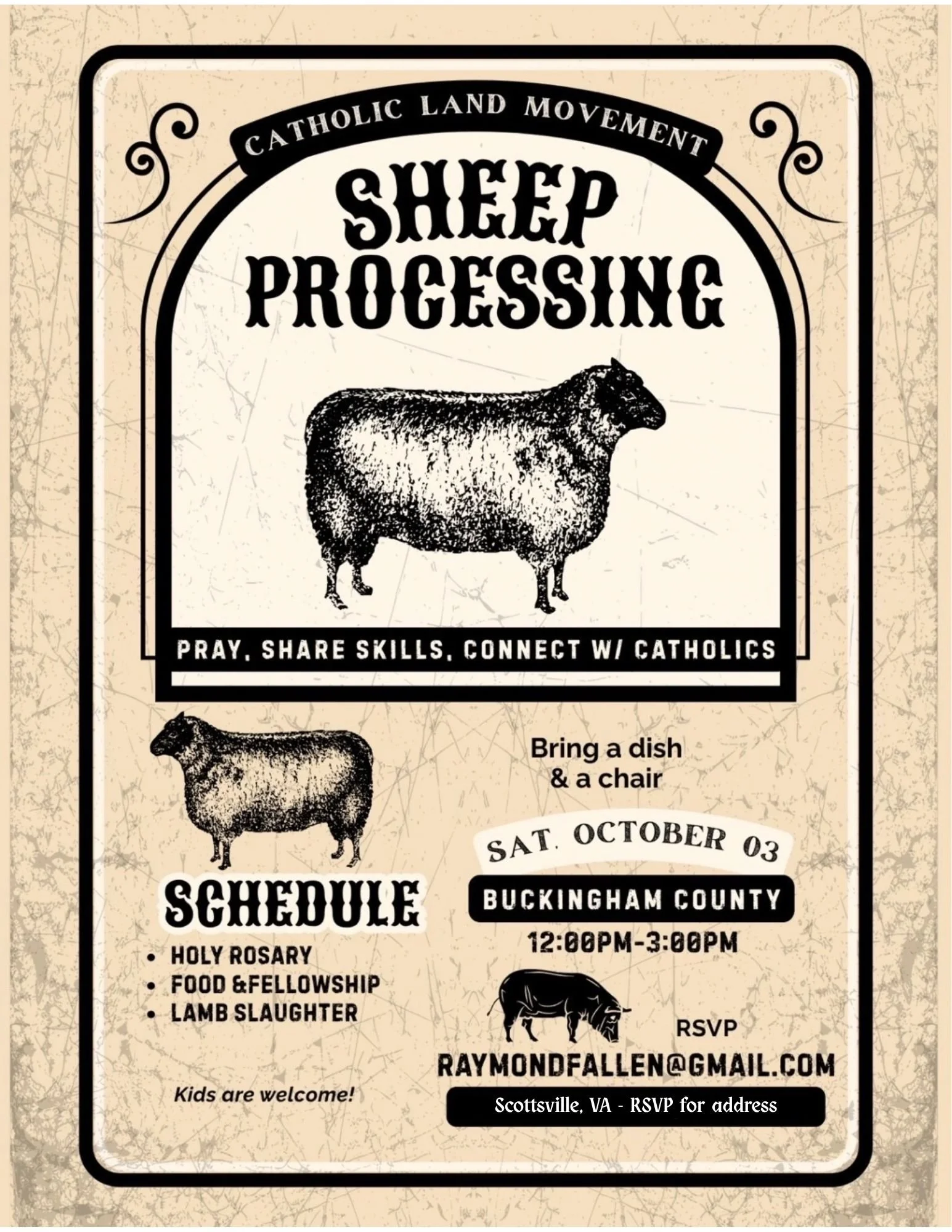 Scottsville Virginia - Sheep Processing
