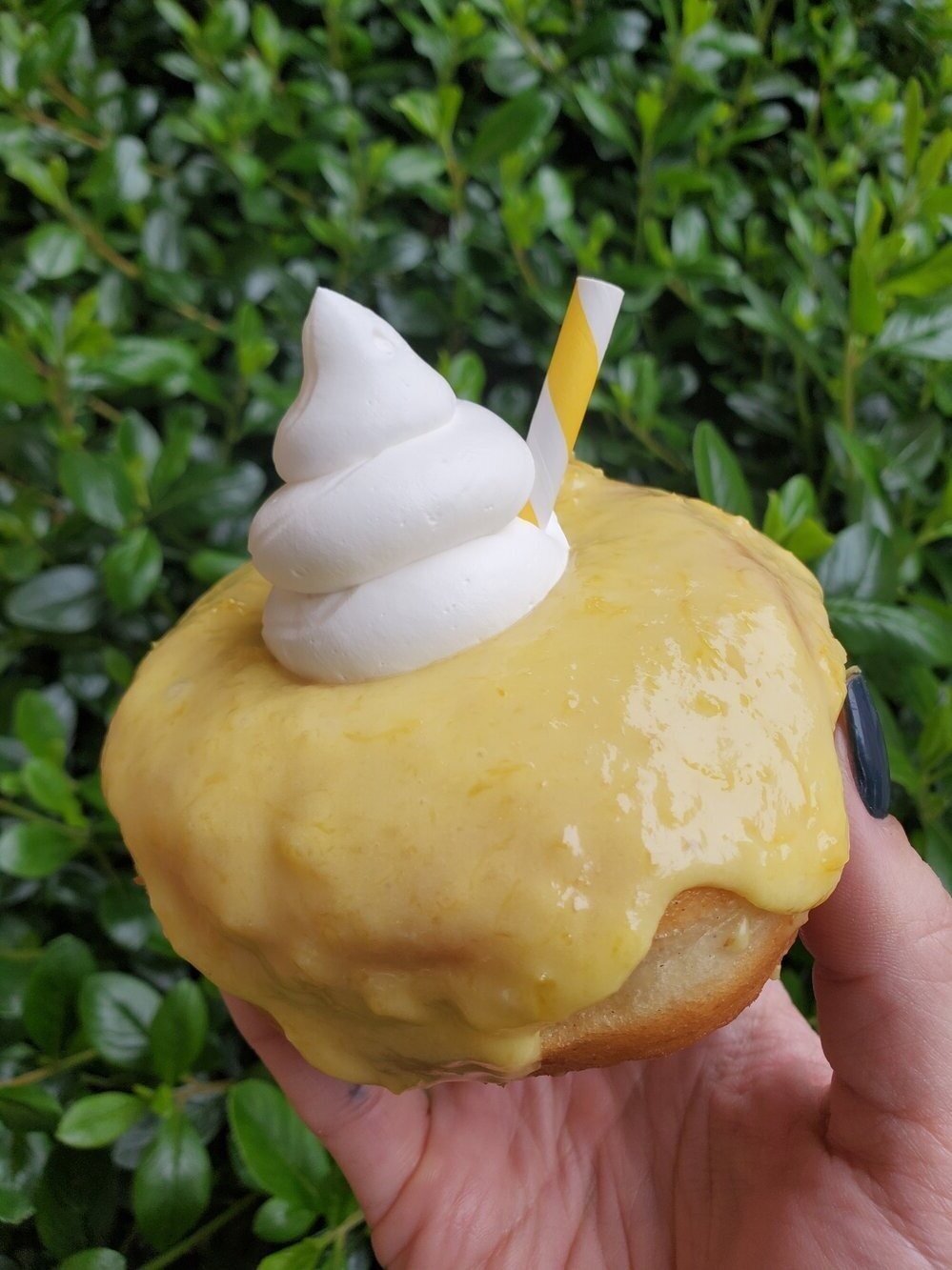 Doe Donuts - Thai Iced Tea