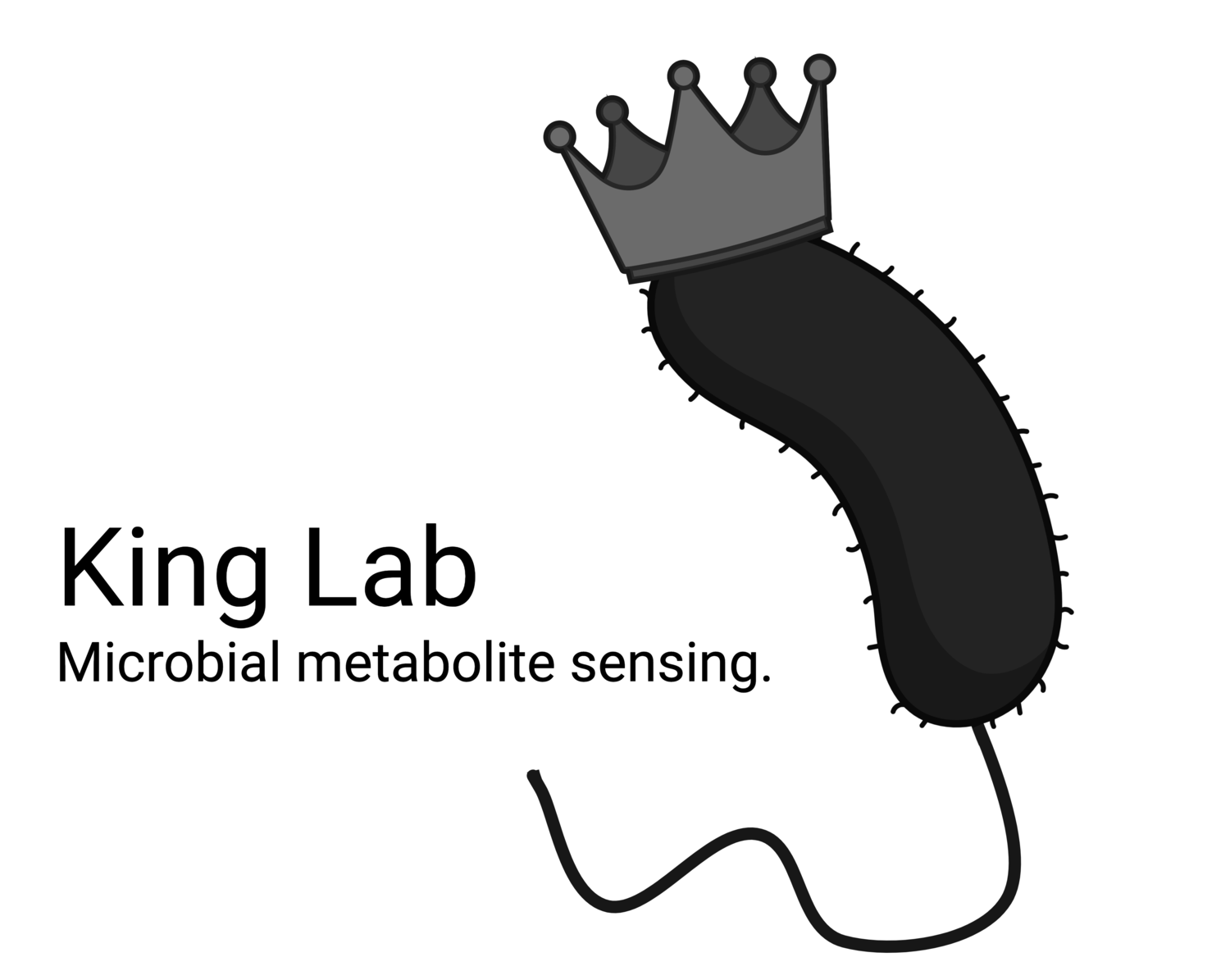 King Laboratory: Microbial Metabolite Sensing 