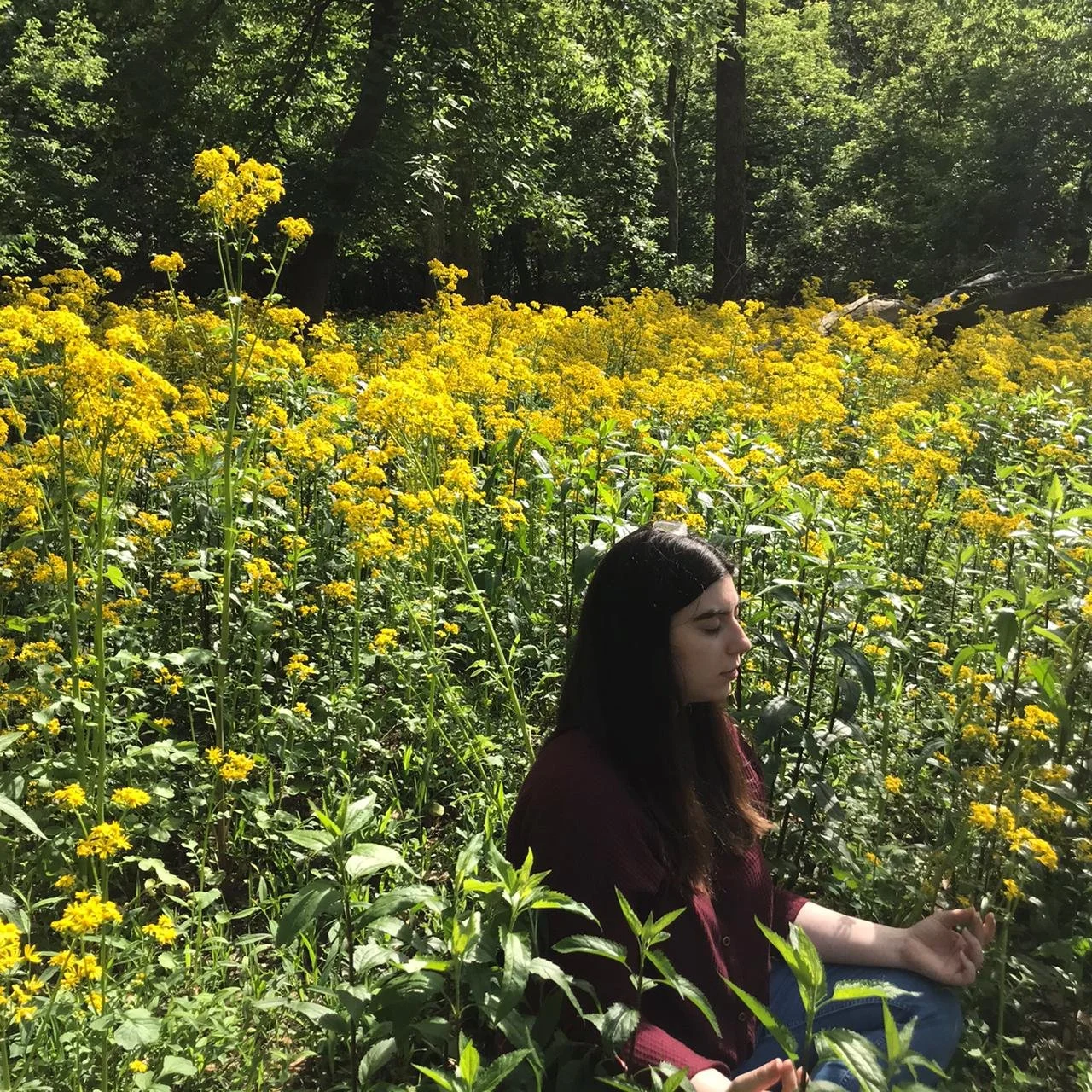 Círculo de Abundancia y Florecimiento