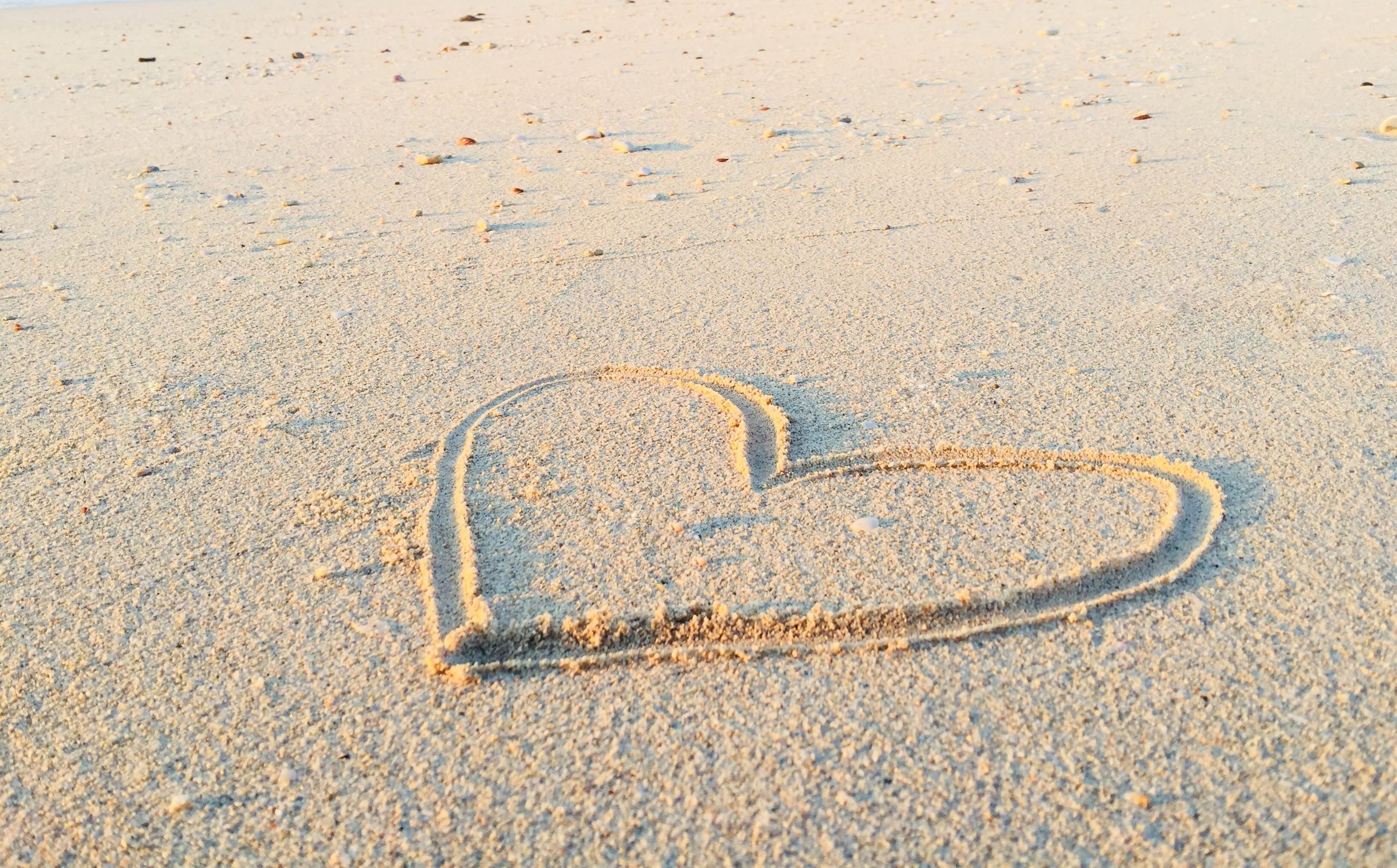 The Vulnerable Journey of the Courageous Heart 
