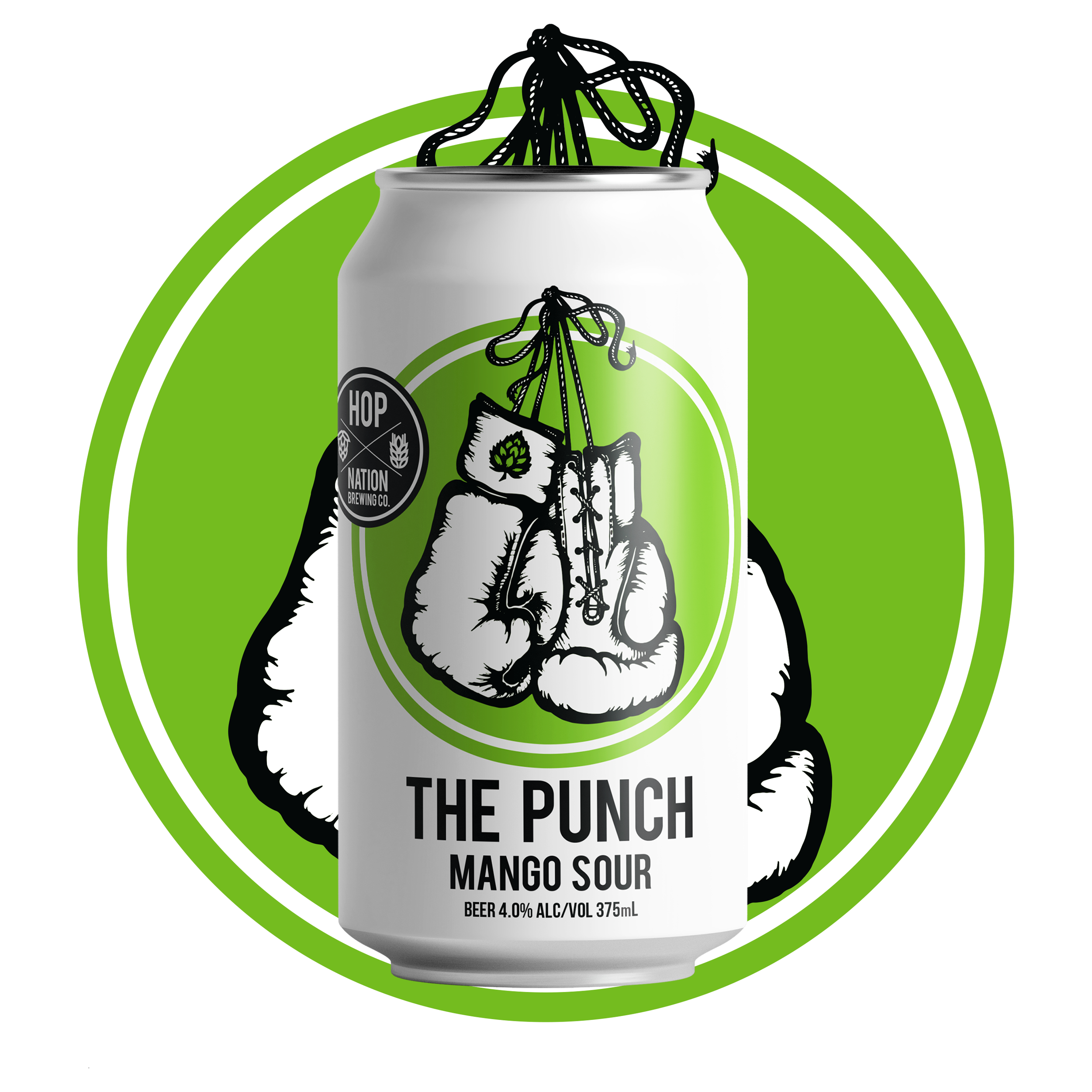 HN Punch 2 (1).png