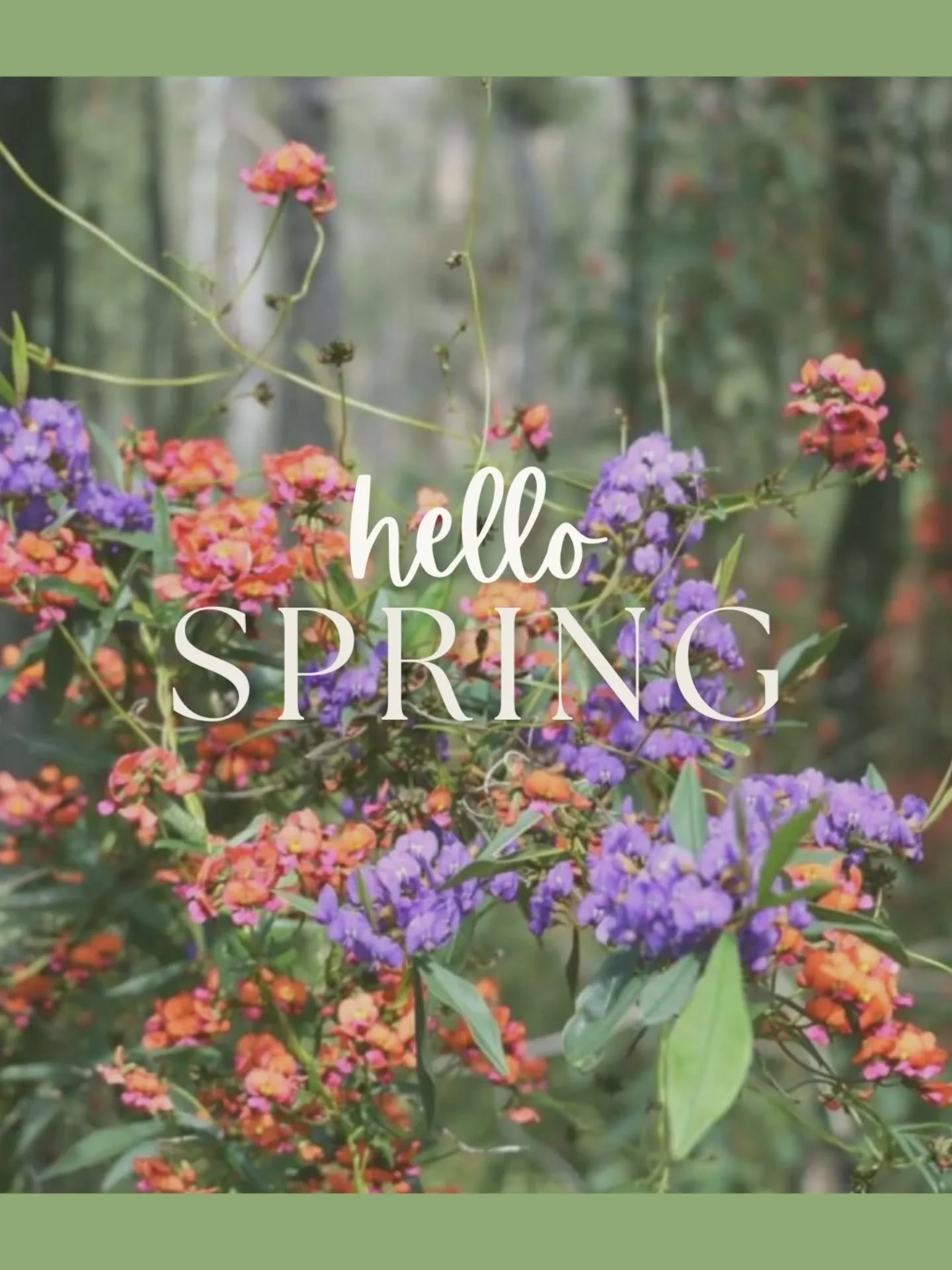 Spring has definitely arrived! 

The days are lengthening, it's not quite so cold when you wake up and the sunshine of the day warms you deep in your bones like nothing else. 

Spring is a magical time of year, and the Spring Equinox (today) is a tim