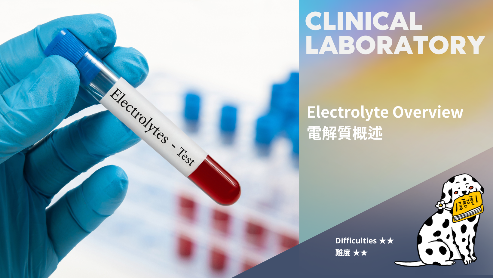 Electrolyte Overview | 電解質概述 (難度: ★★)