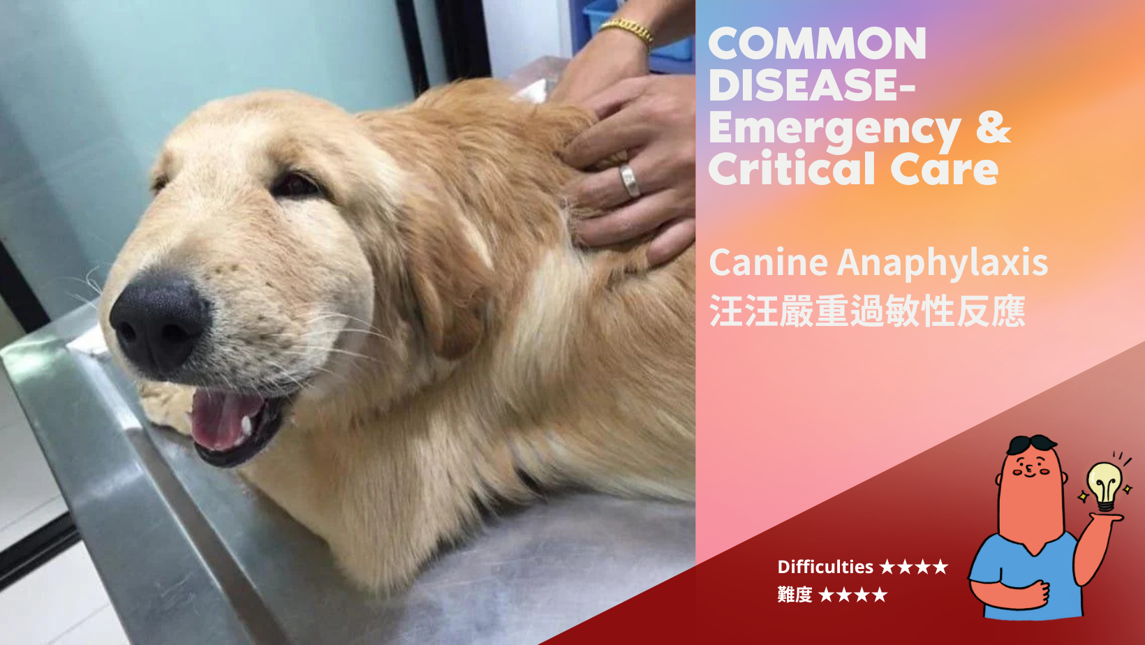 汪汪嚴重過敏性反應Anaphylaxis (難度: ★★★★)