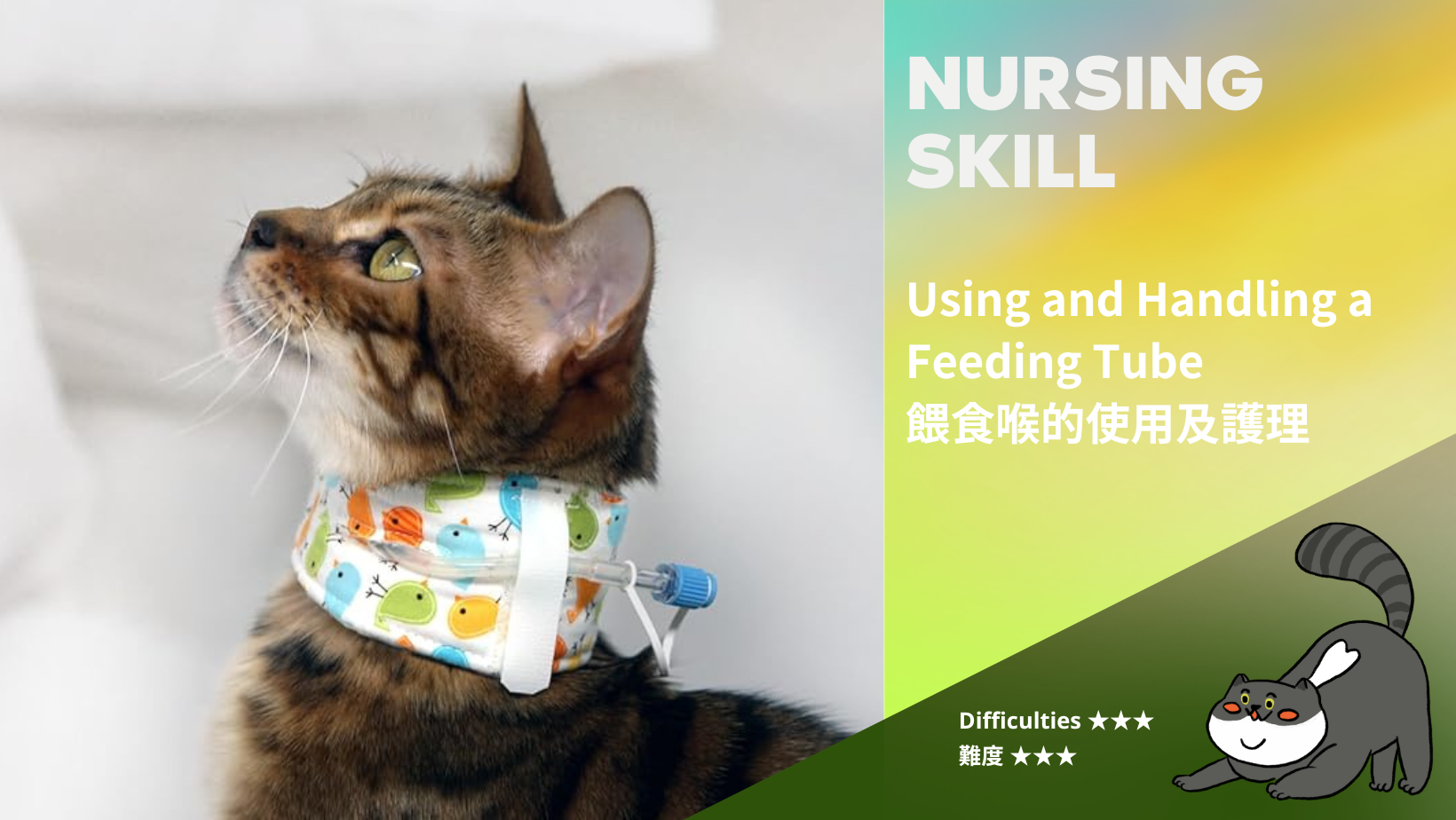 餵食喉的使用及護理 Using and Handling a Feeding Tube (難度: ★★★)