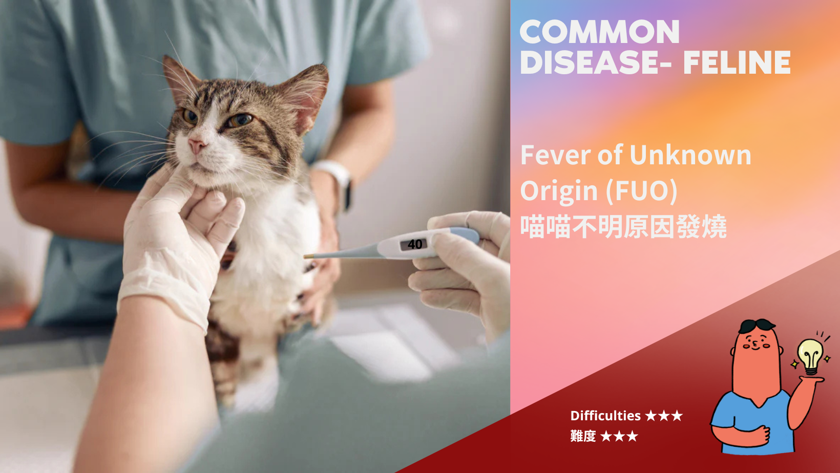 喵喵不明原因發燒 Fever of Unknown Origin (難度: ★★★)