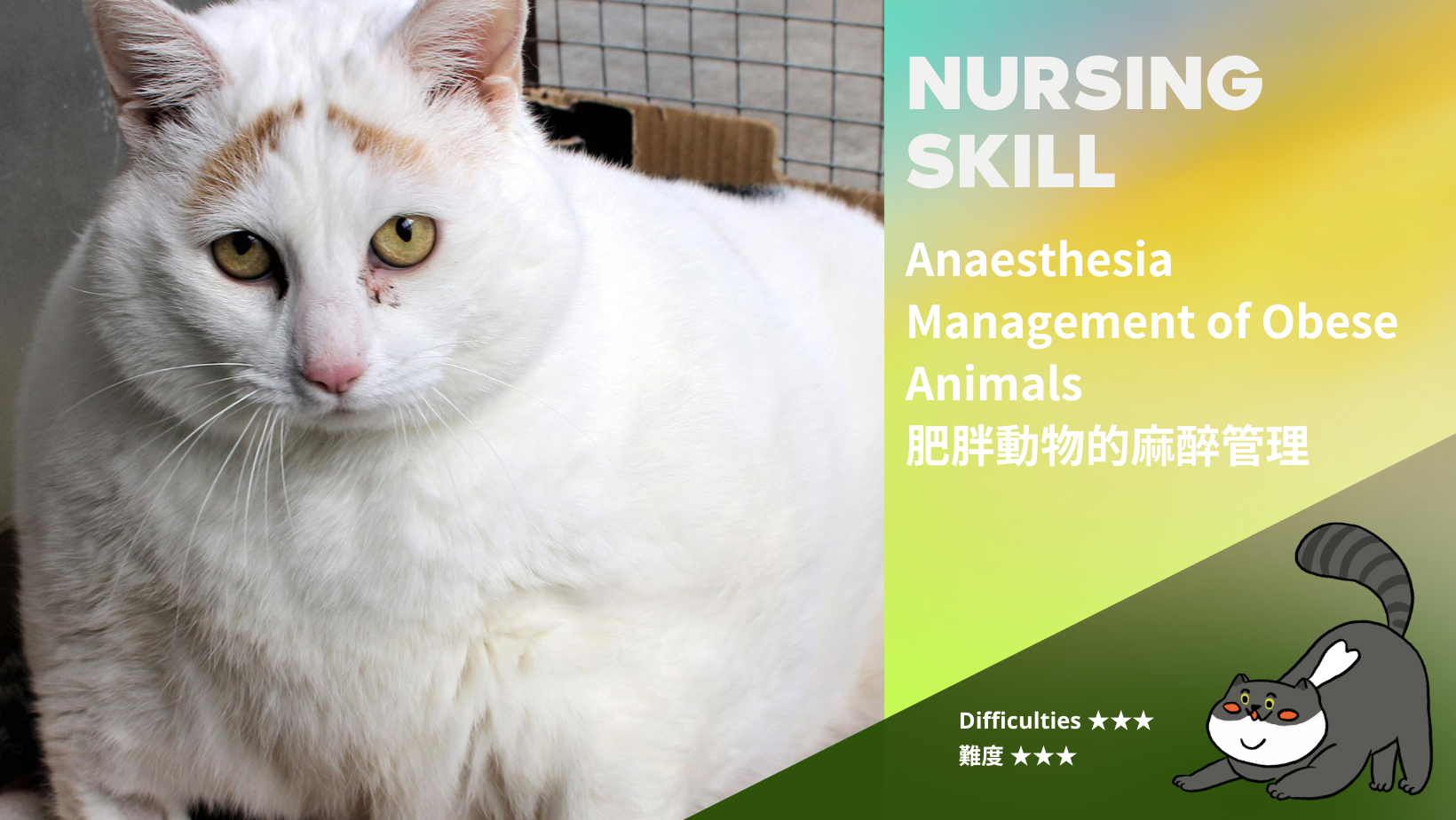 肥胖動物的麻醉管理 Anaesthesia management of obese animals (難度: ★★★)