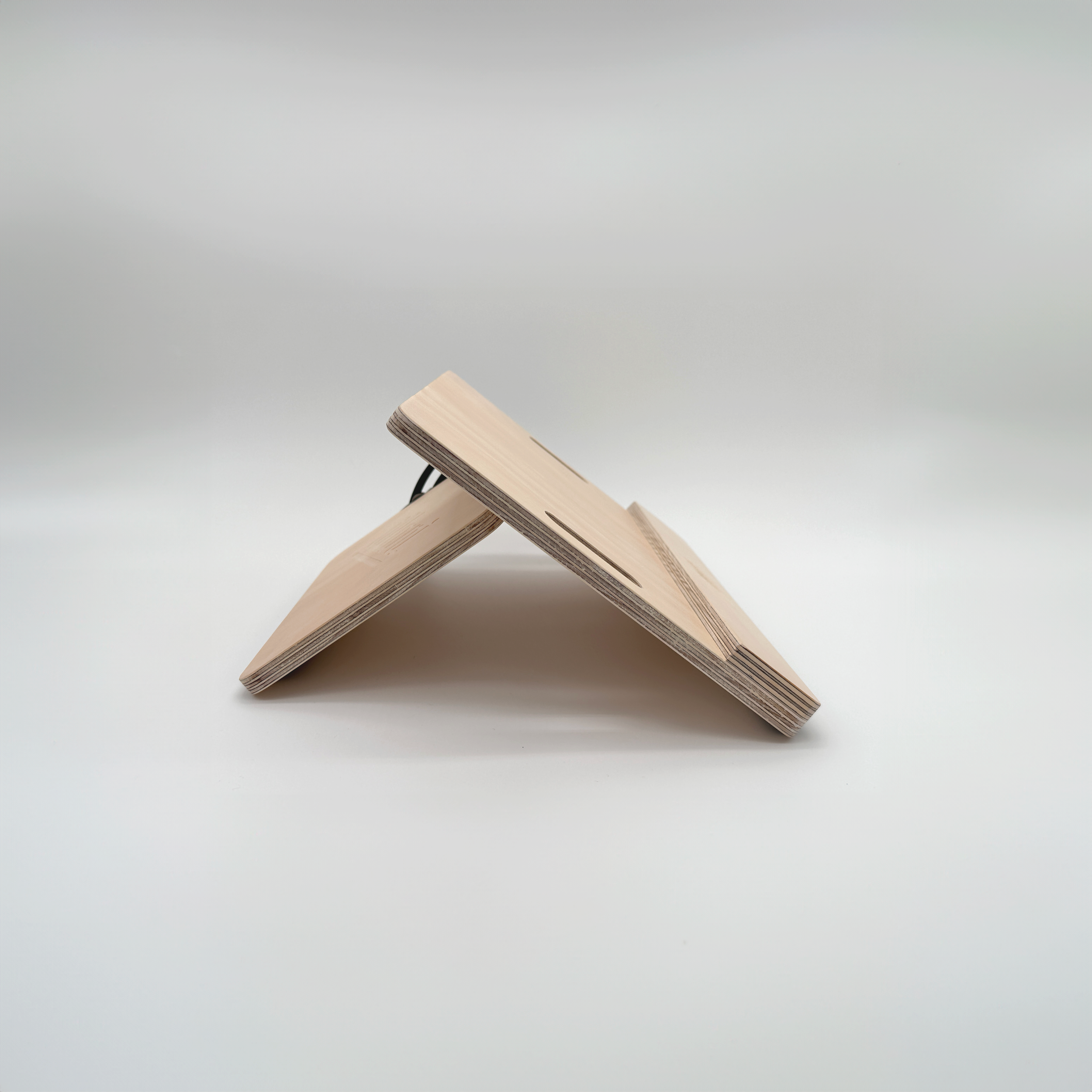 MOVE_Side 2.png