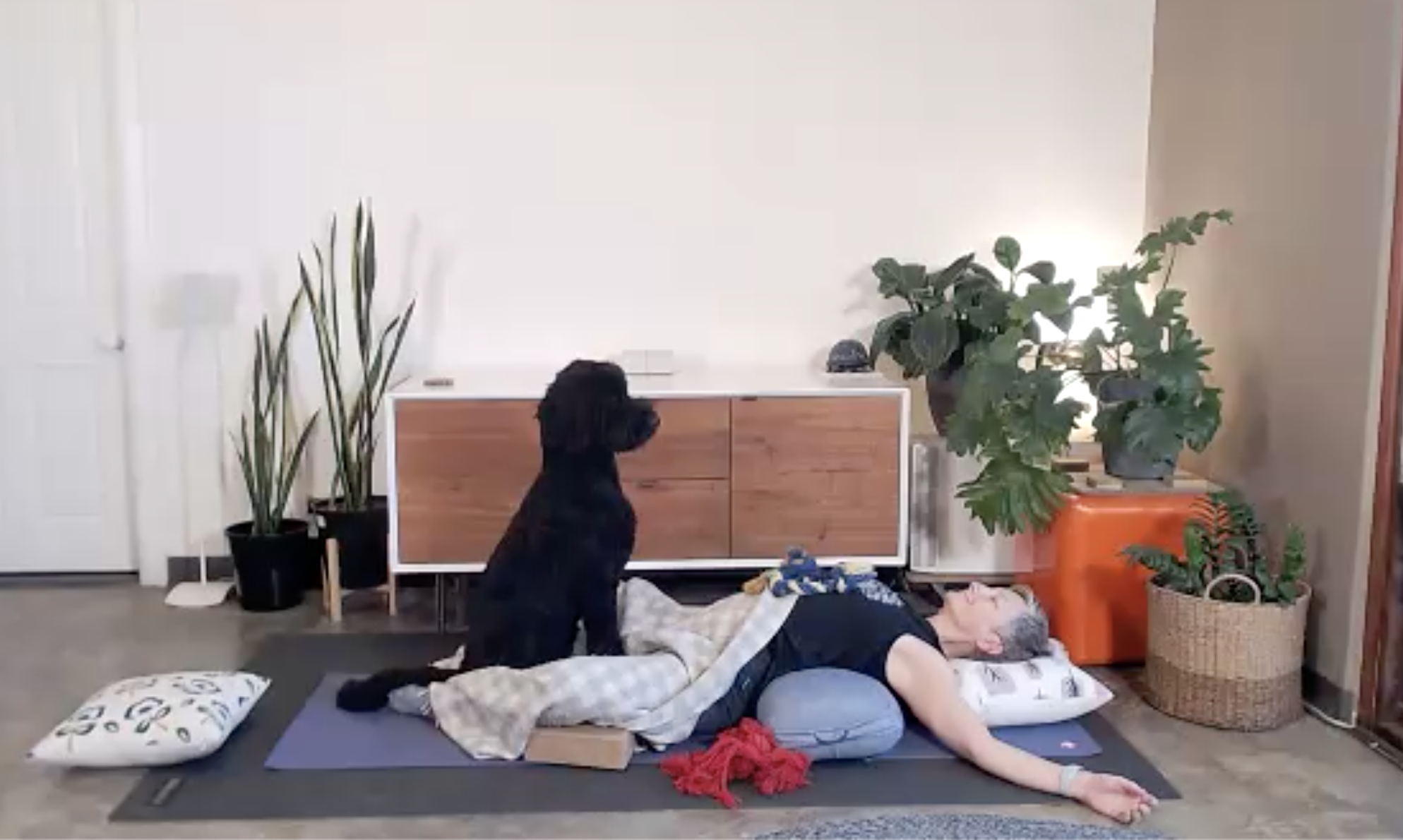 Related Video Item Thumbnail