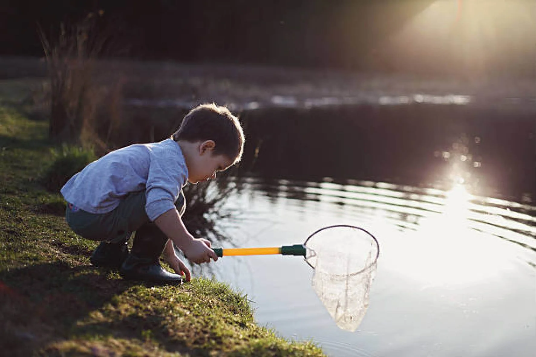 Young boy crouching by a pond with a fishing net, sunlight reflecting on water.