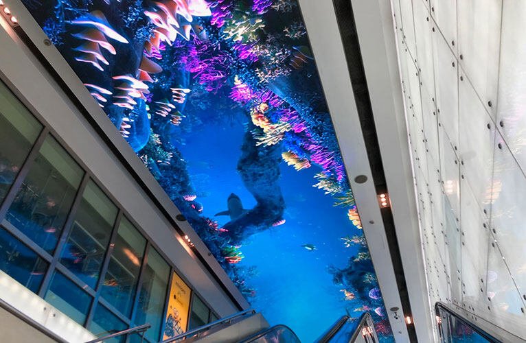 Shopping Mall