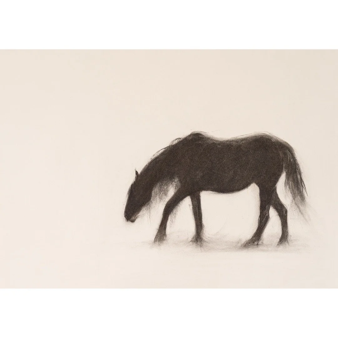 Mountain Pony II, charcoal on paper, 2025
58 x 78cm
.
.
.
.
.
.
.
.
.
.
.
.
#wild#wildpony#walk#studio#charcoalonpaper#blackandwhite#artist#drawing#markmarking#art#wales#contemporarydrawing