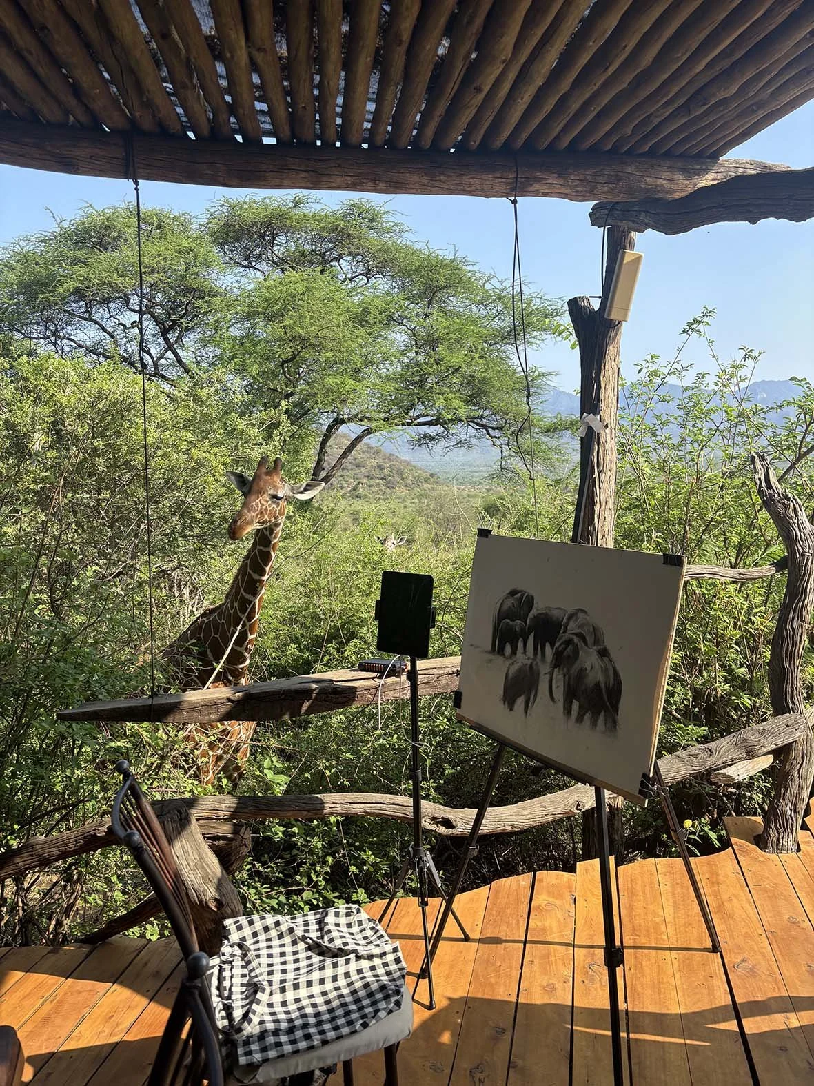 polly-james-artist-artist-residence-sarara-kenya-charcoal-drawing-elephants-giraffe.jpeg