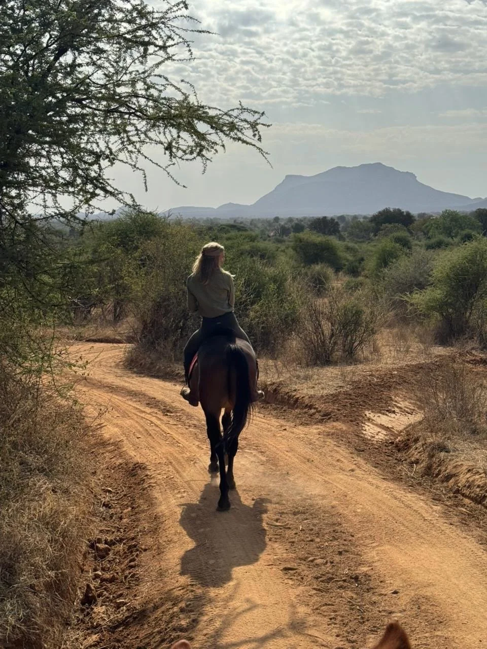 polly-james-artist-sarara-artist-residency-horseback.jpeg