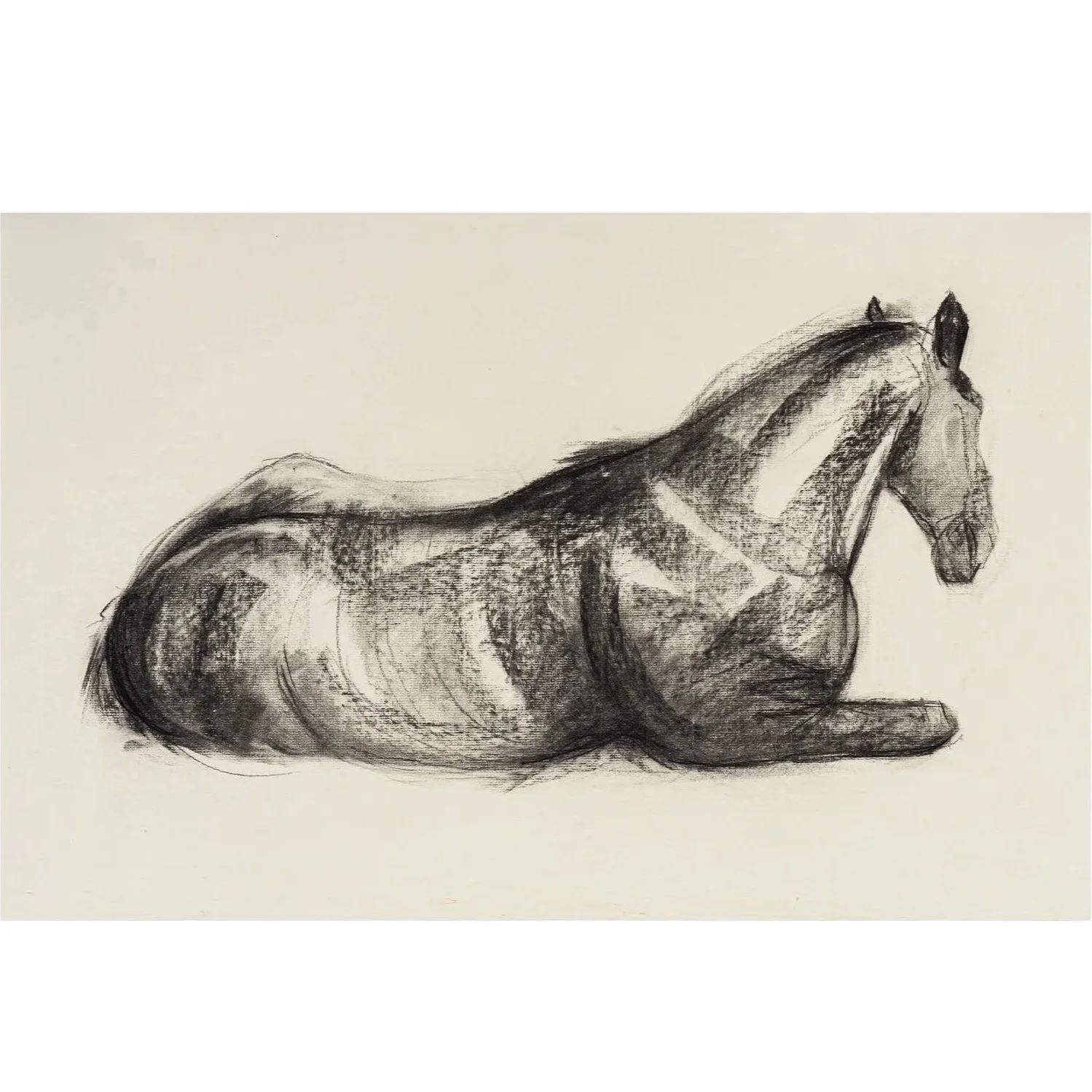 At Rest, Charcoal on paper, (55cm x 75cm), unframed - SOLD