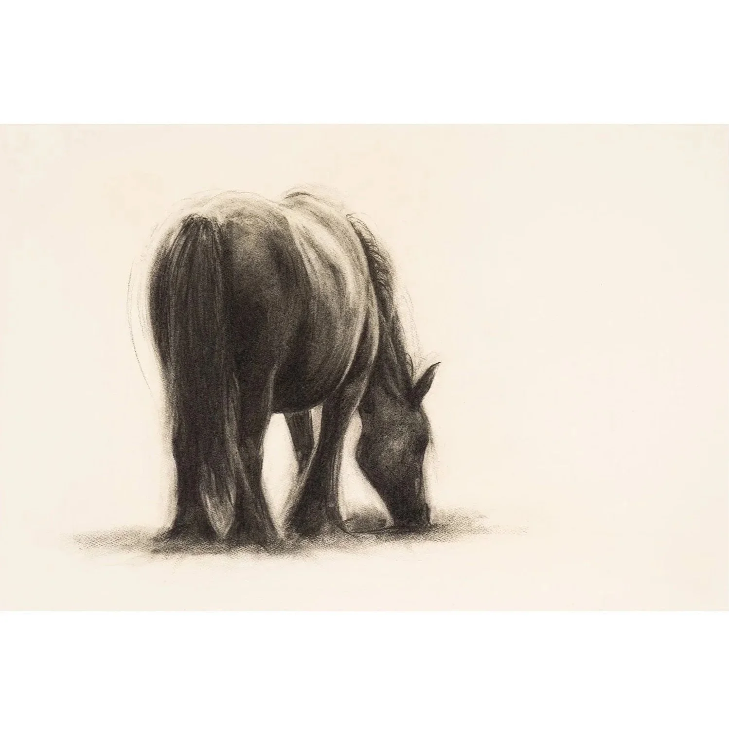 Mountain Pony, Charcoal on paper, (70cm x 90cm) SOLD