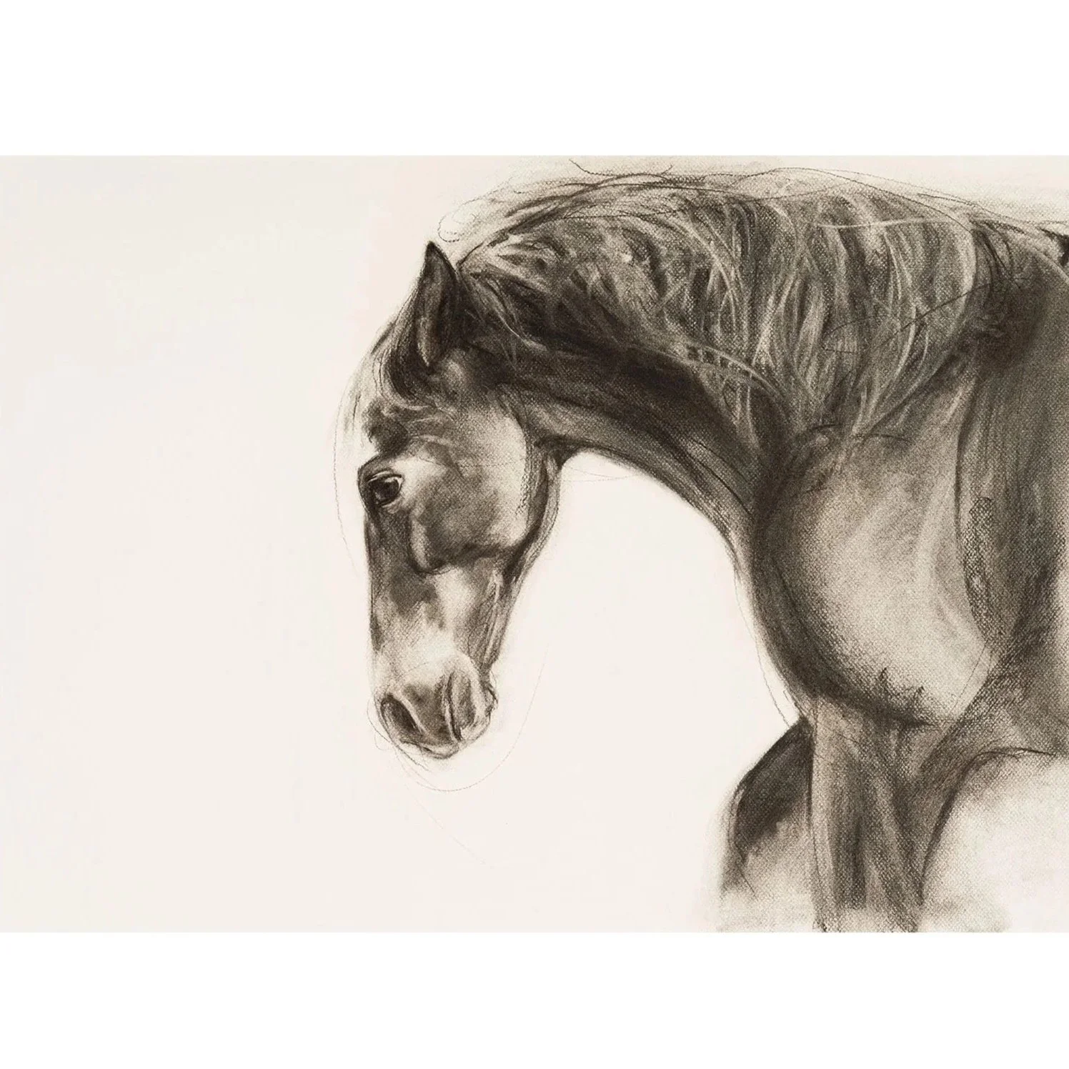 Headwind, Charcoal on paper, (58cm x 78cm) - £1050