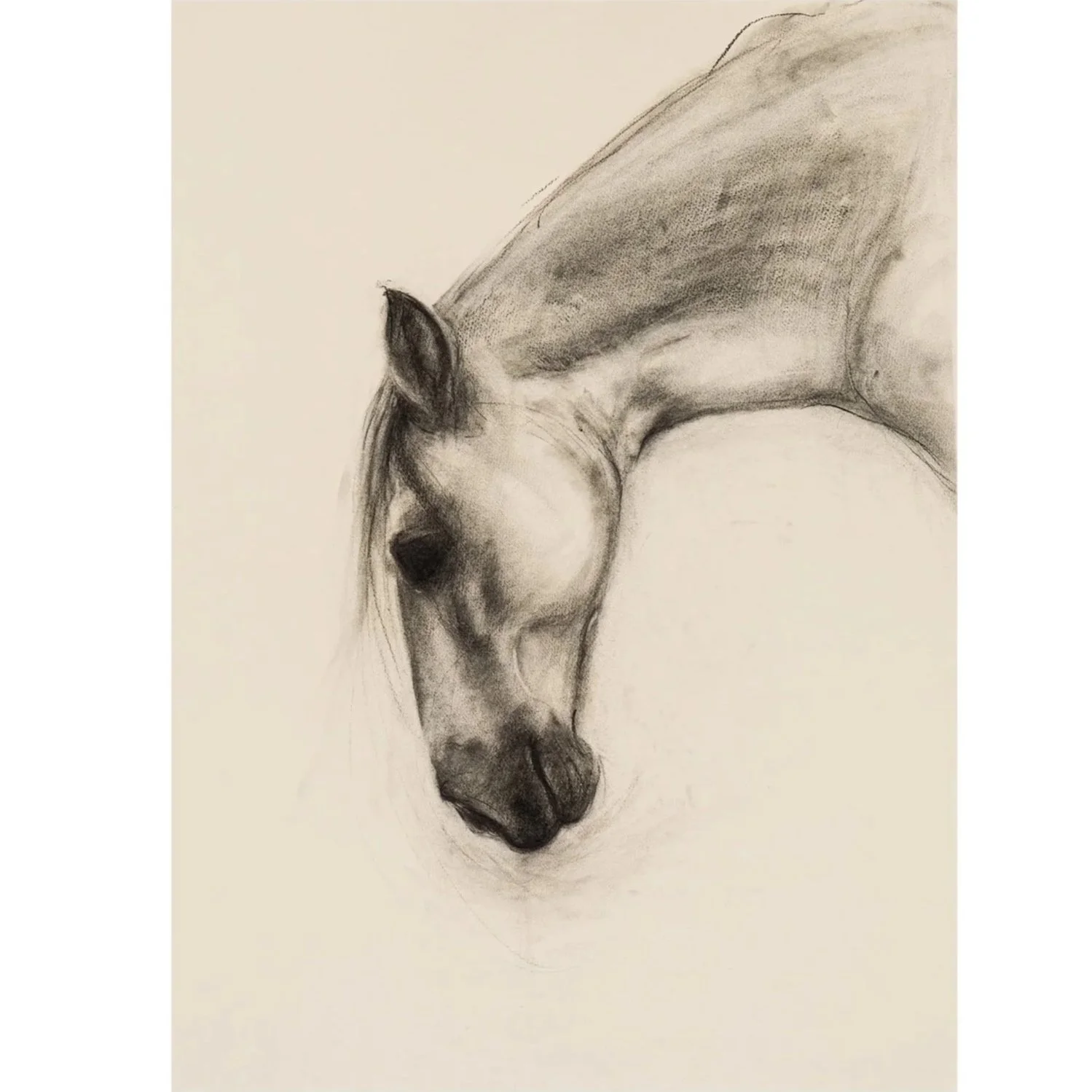 Pause, Charcoal on paper, (70cm x 89cm) POA