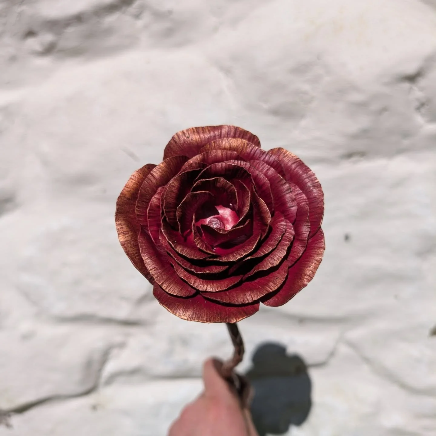 Hi everyone, here is a copper rose we made recently as a gift, if you are too impatient to wait for them to bloom for real why not have a go at making one yourself this Saturday on our next copper flower making workshop. We look forward to seeing you