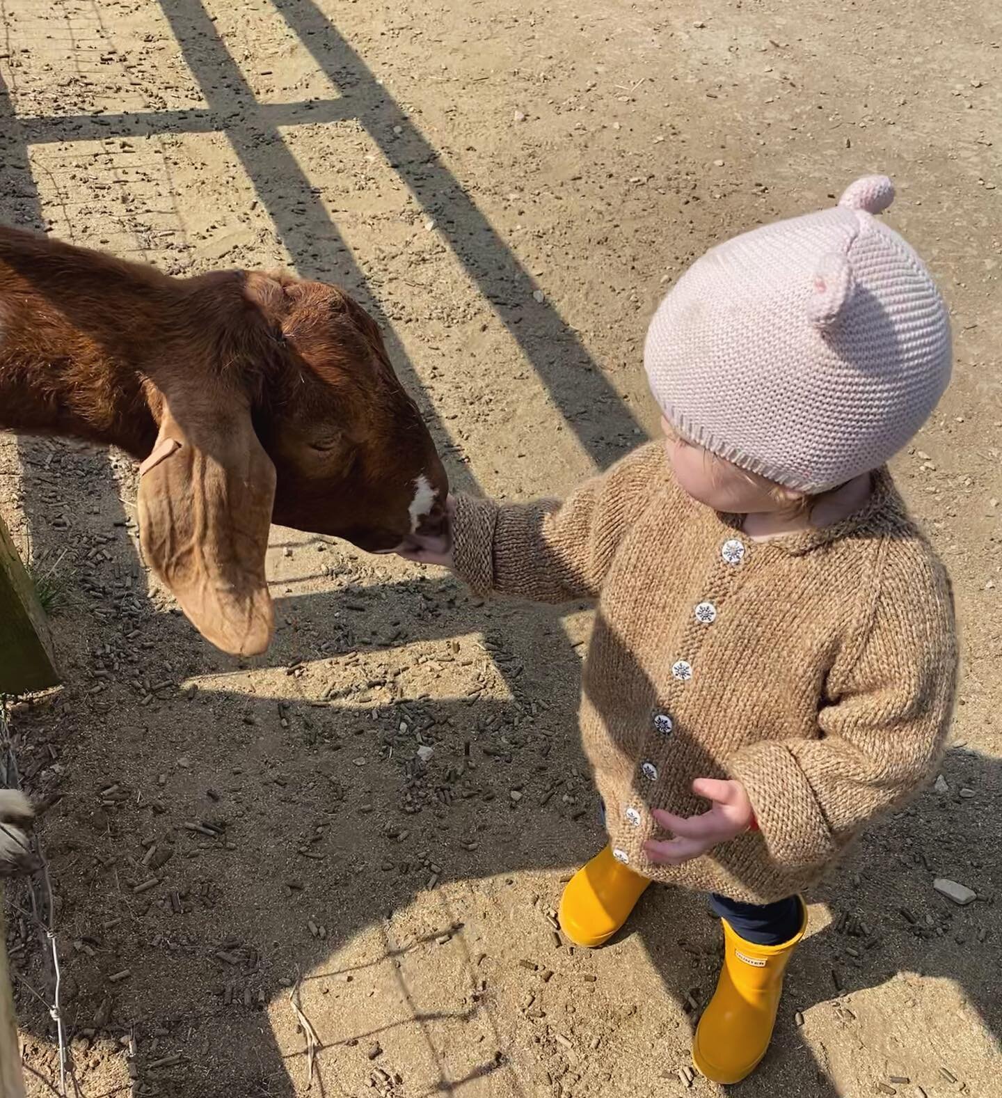 This week&rsquo;s day trip 🐐 Jemima loved feeding the animals and looking at the tiny lambs and piglets. 

The outdoor play areas here are also really worth factoring in a few hours for as they are wonderful for children to do some exploratory play 