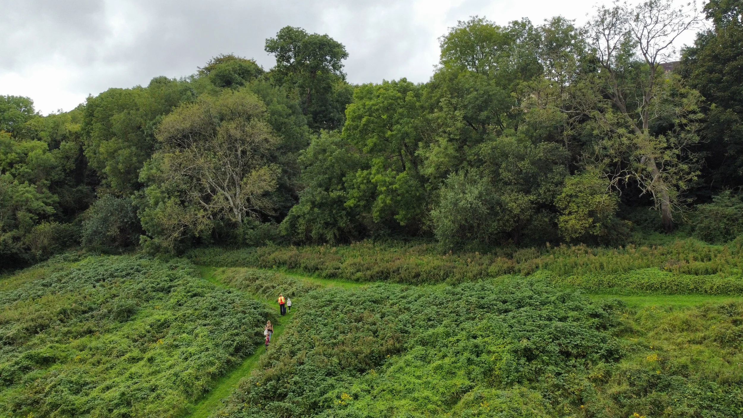 dji_fly_20230901_112826_723_1693564116785_photo_optimized.JPG