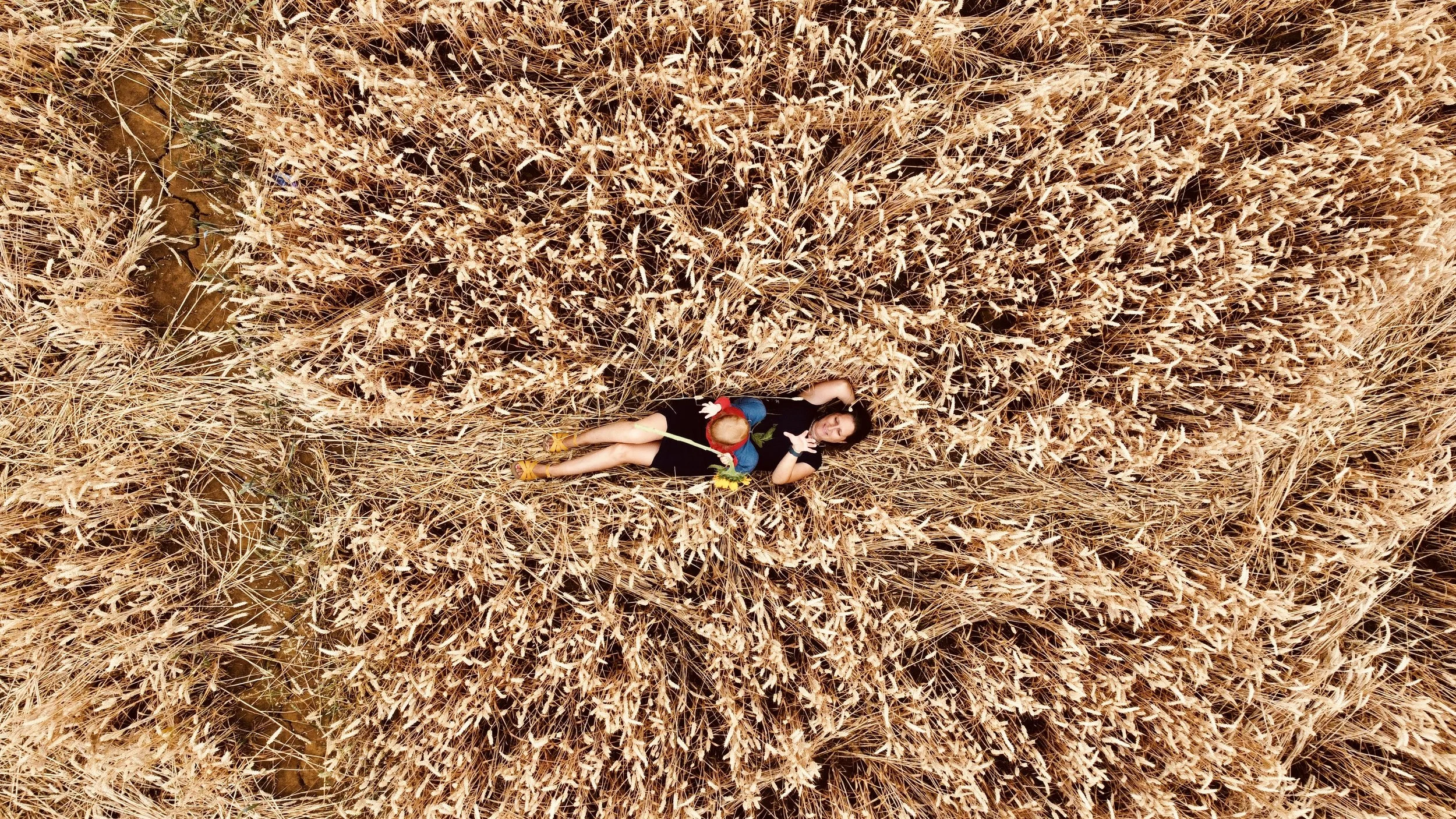 Drone image from above capturing woman and child in a wheat field.