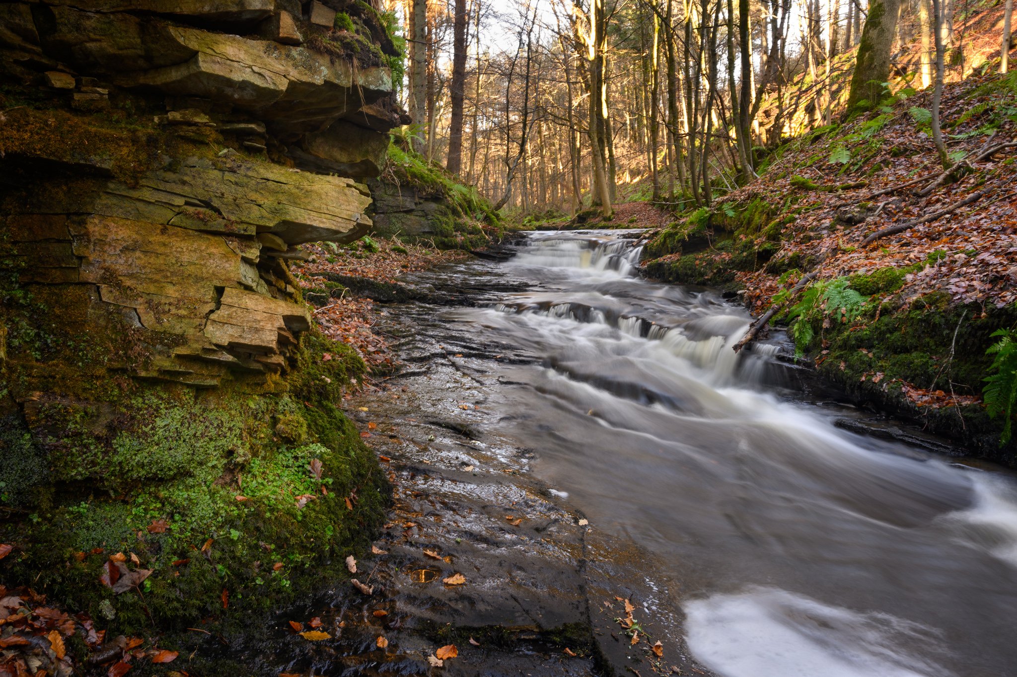 How to Find Jerry Force Waterfall — Ian Sanderson Photography