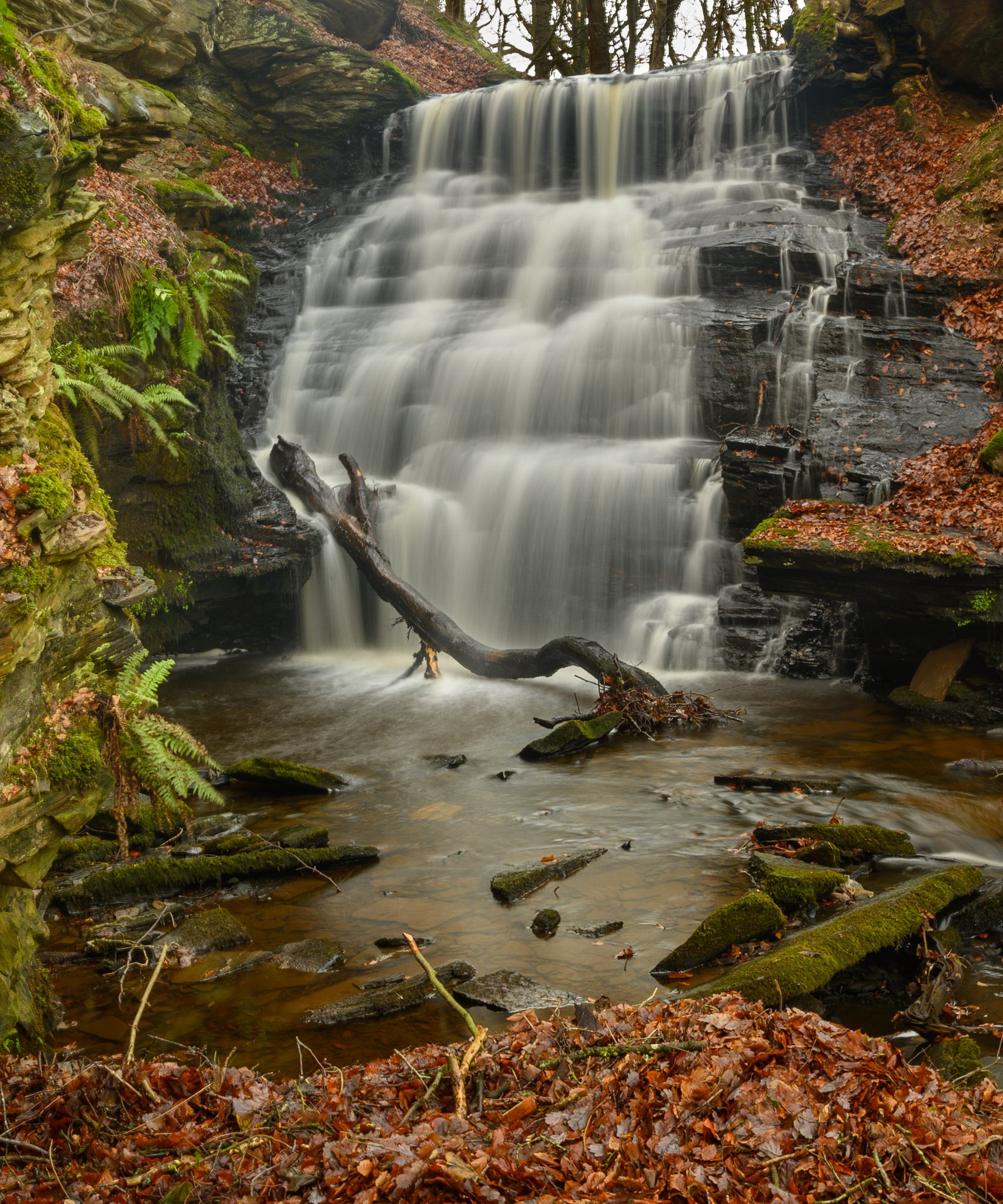 Jerry-Force-waterfall-photography (6 of 7).jpg