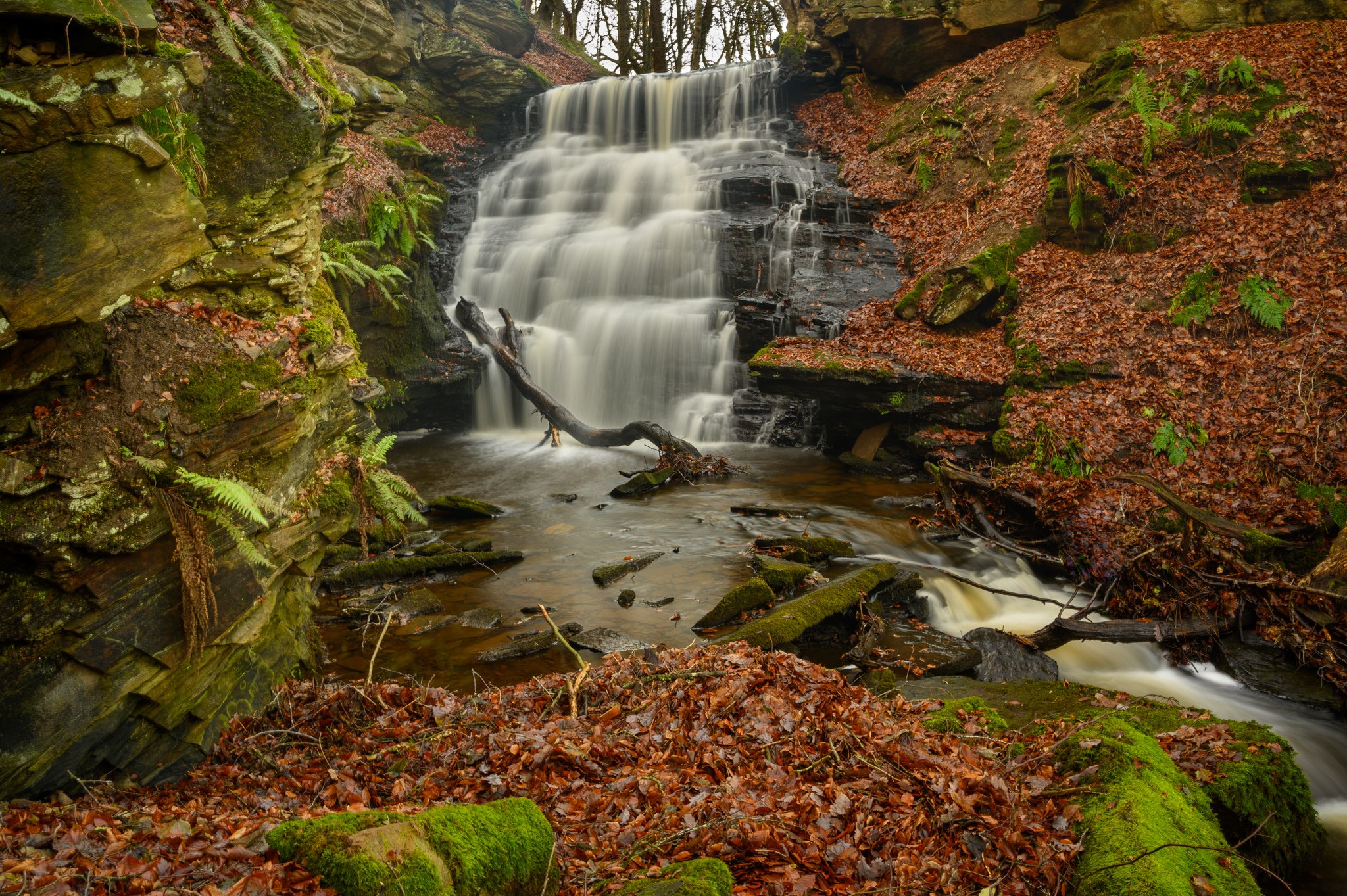 Jerry-Force-waterfall-photography (7 of 7).jpg
