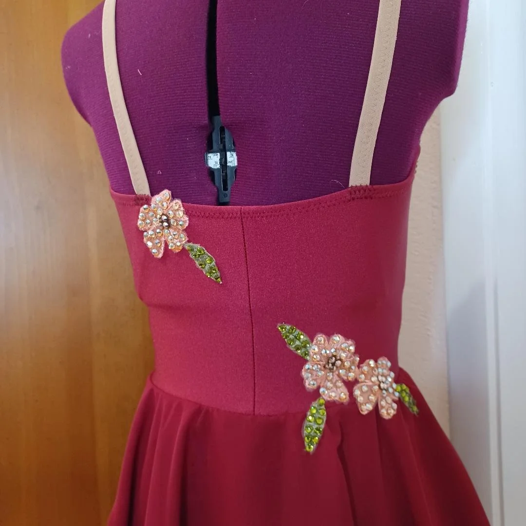 ballet dress back cu.jpg