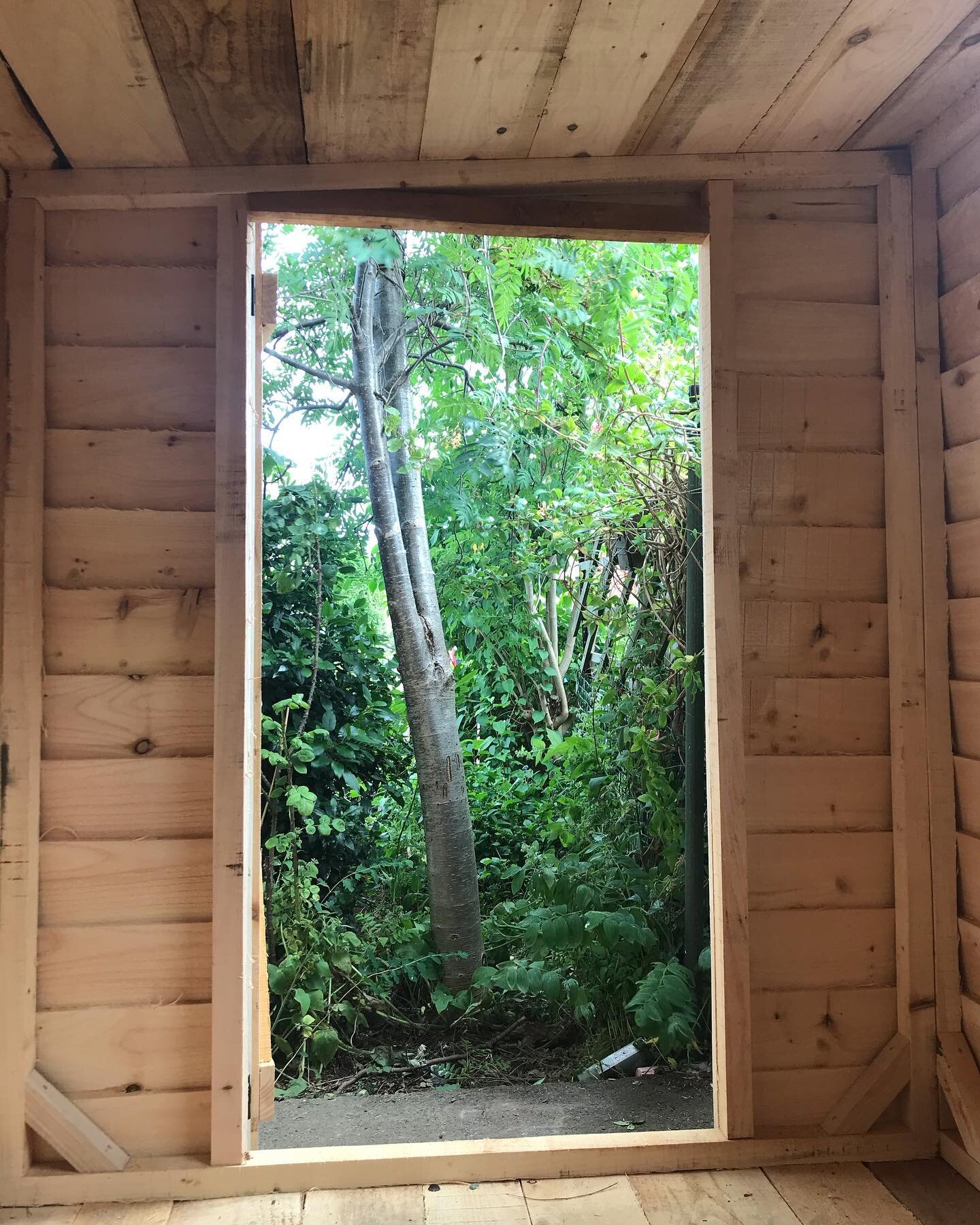 The view from my lovely new garden shed. It smells wonderful.

It started with a little pencil sketch on my grandad&rsquo;s graph paper and was made from larch grown near Scarborough. Soon it will have my flatbed in it, so I can coldwork my glass in 