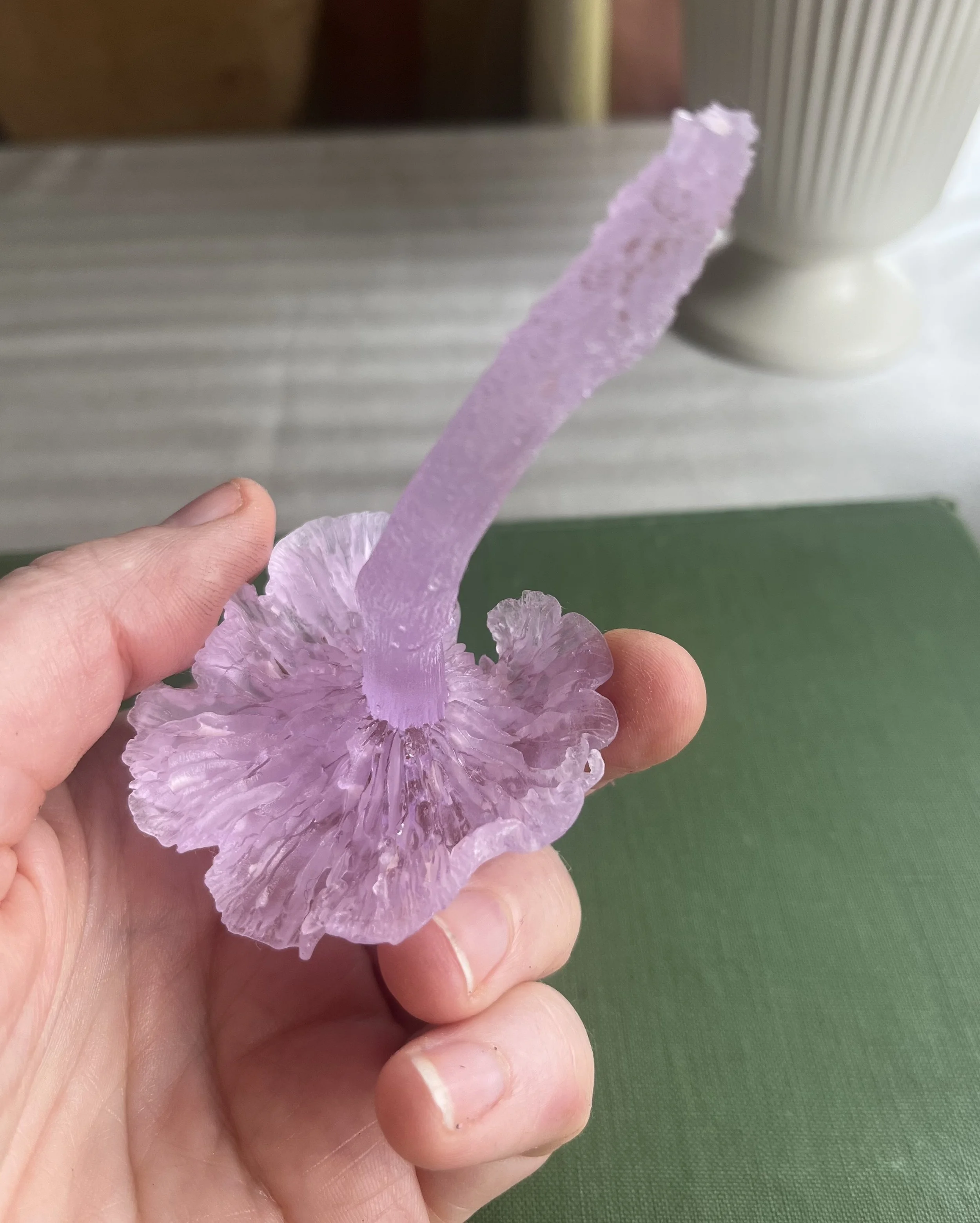 whitby mushroom.jpeg