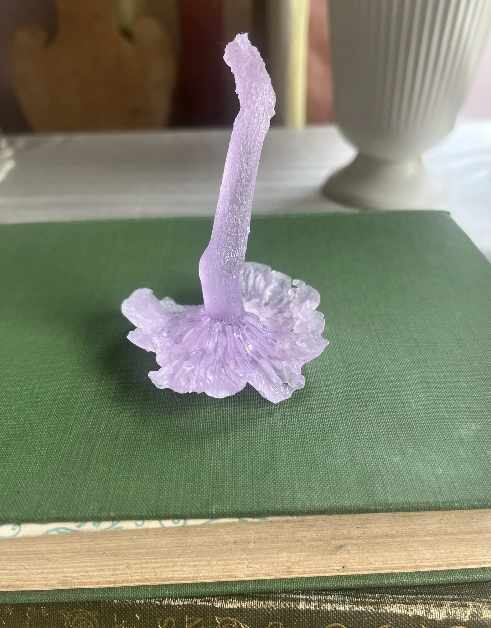 Little Pink Mushroom