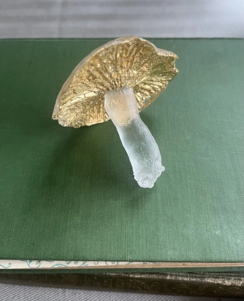 mushroom_art.jpeg