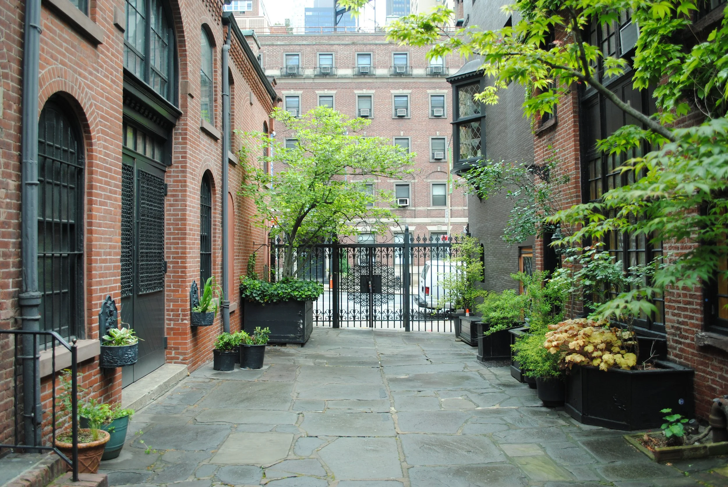 DSC_0366.JPG