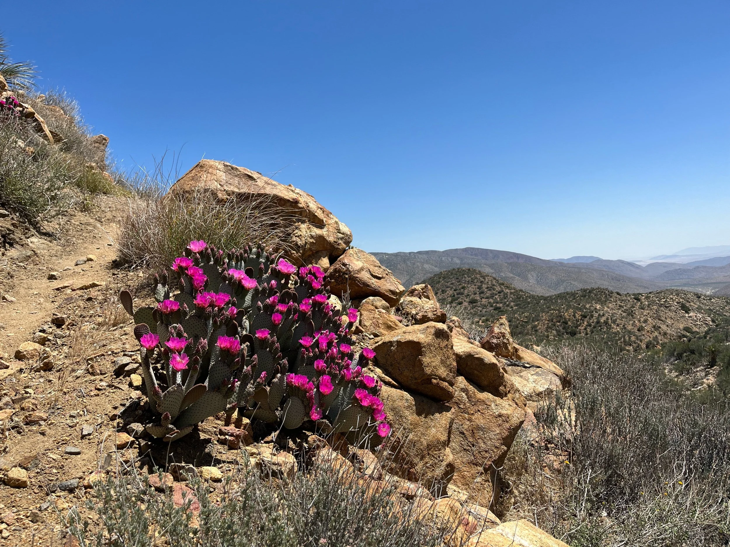 Day 10, April 27: Mile 132 to 148