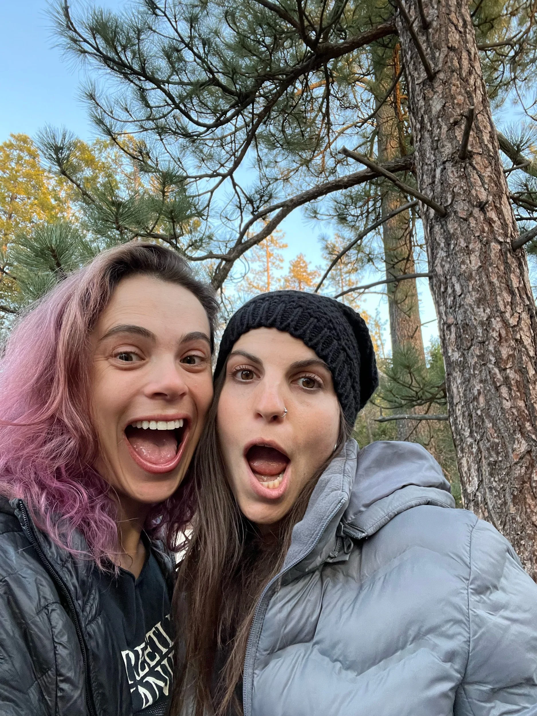 Day 13, April 30: Zero Day in Idyllwild