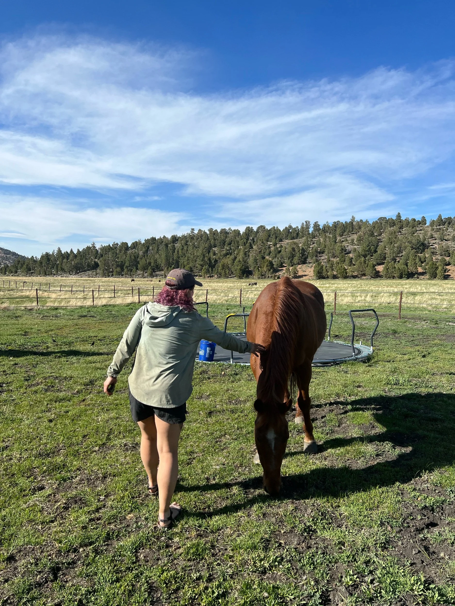 Day 18, May 5: Mile 249 to 266 and into Big Bear