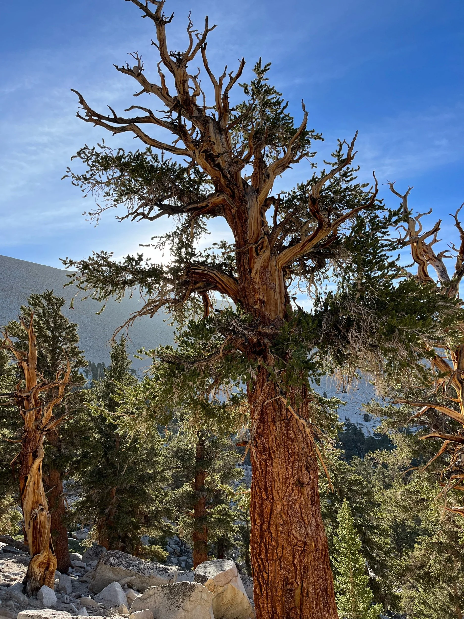 Day 53, June 9: Mile 751 to 767