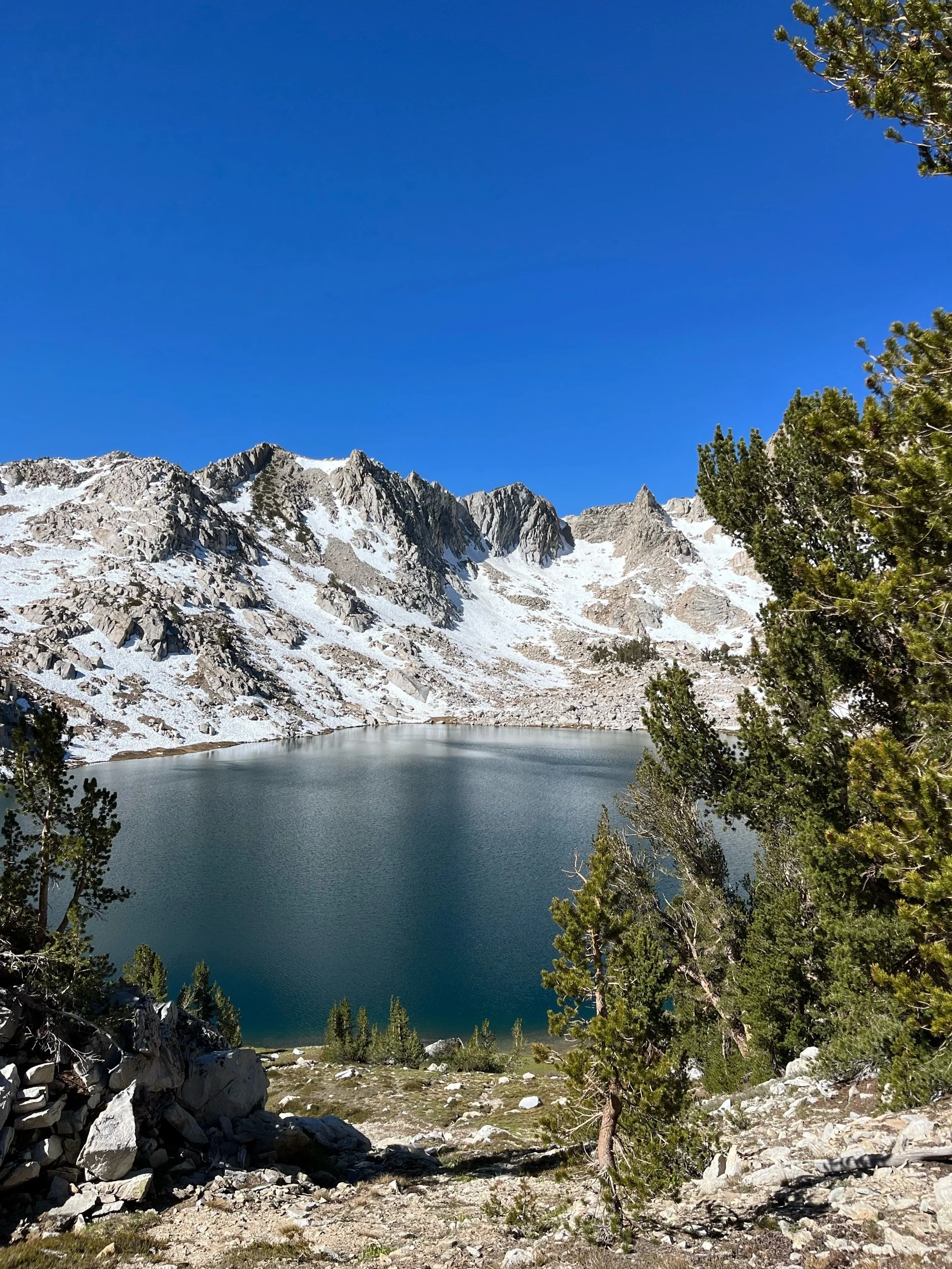 Day 65, June 21: Mile 881 to 902, Over Silver Pass
