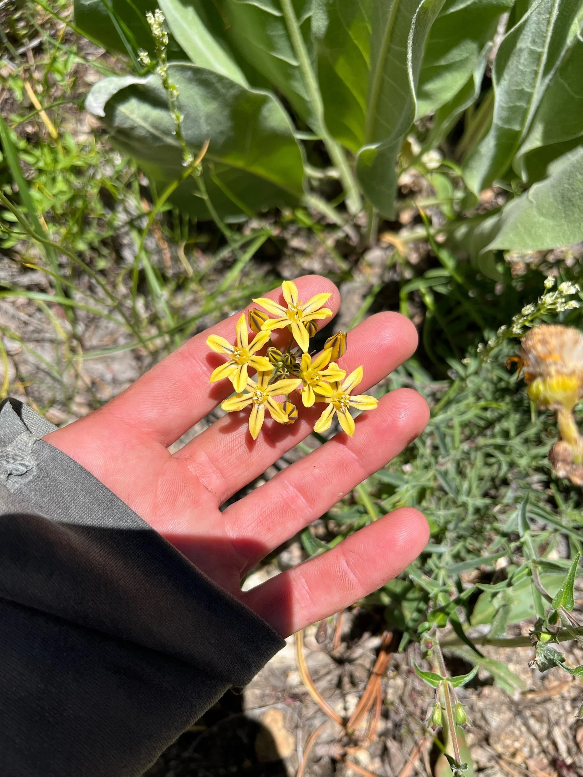 Day 72, June 28: Mile 968 to 991