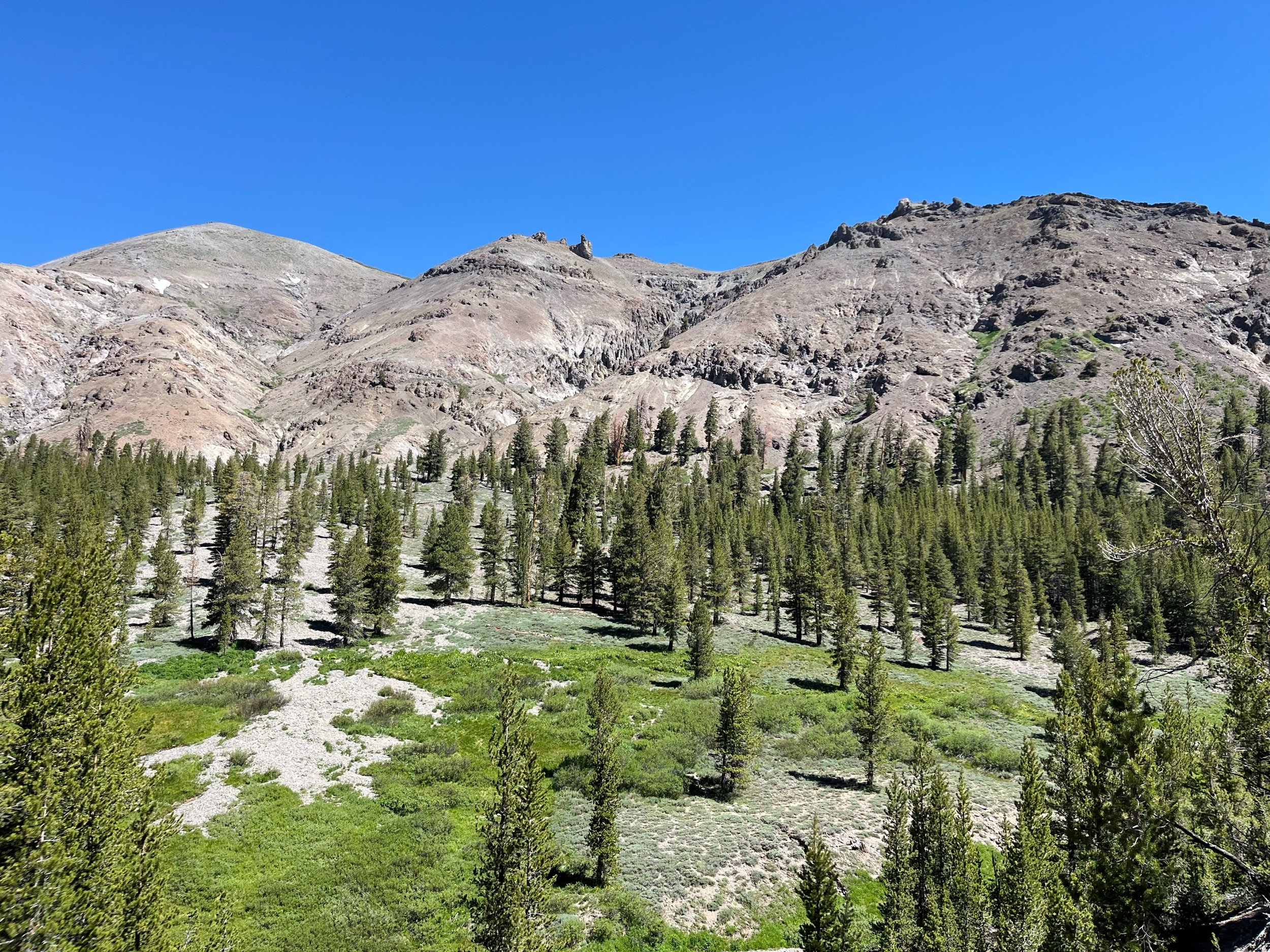 IMG_0659.jpeg