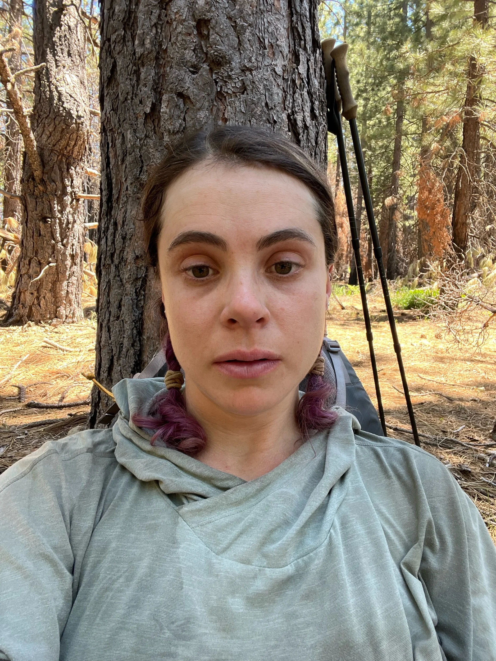 Day 86, July 12: Mile 1229 to 1250